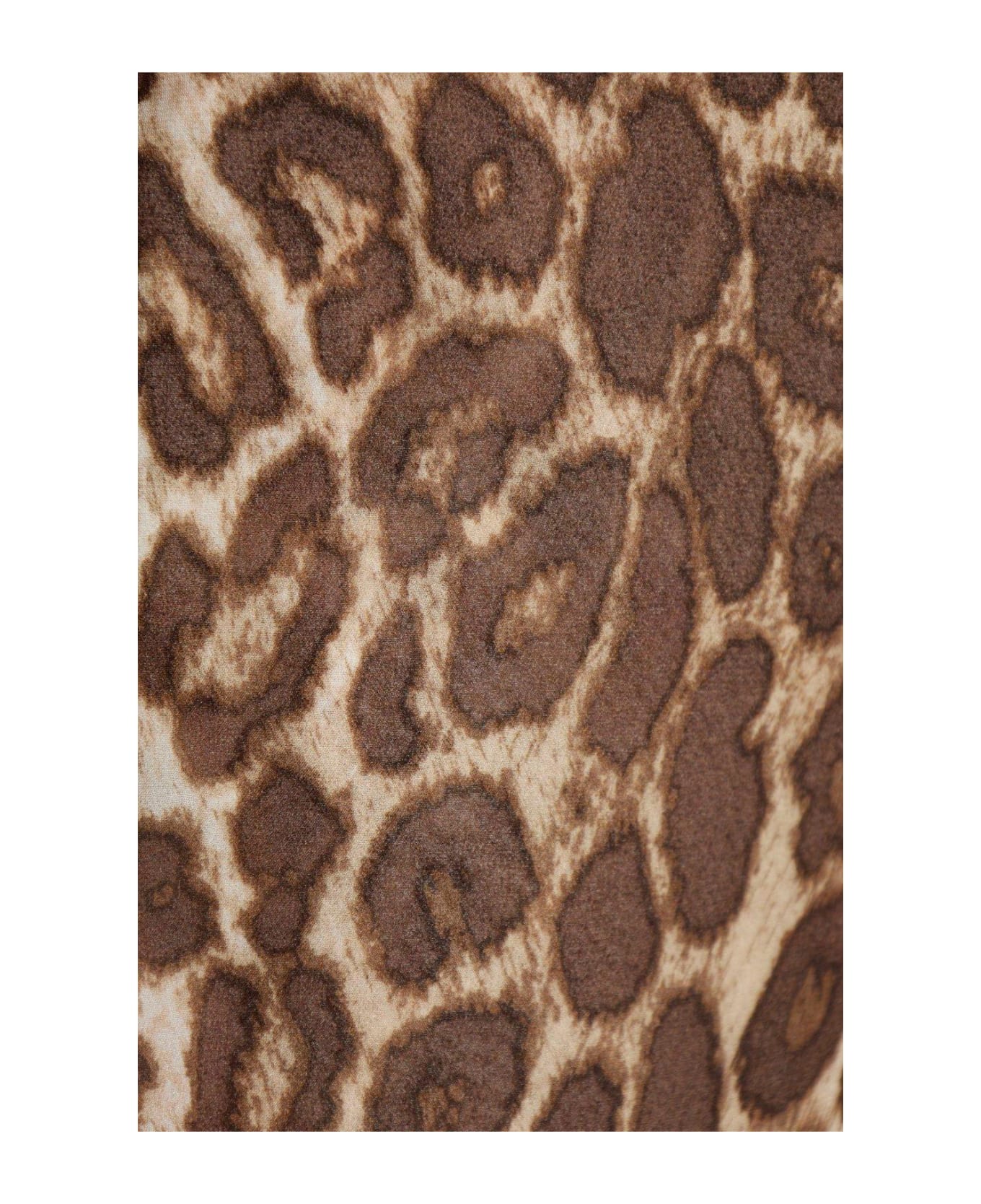 Zimmermann Leopard Printed Flared Trousers - Brown