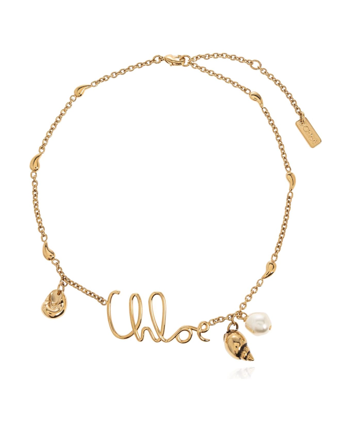 Chloé 
chloè Shells
 Necklace - Gold