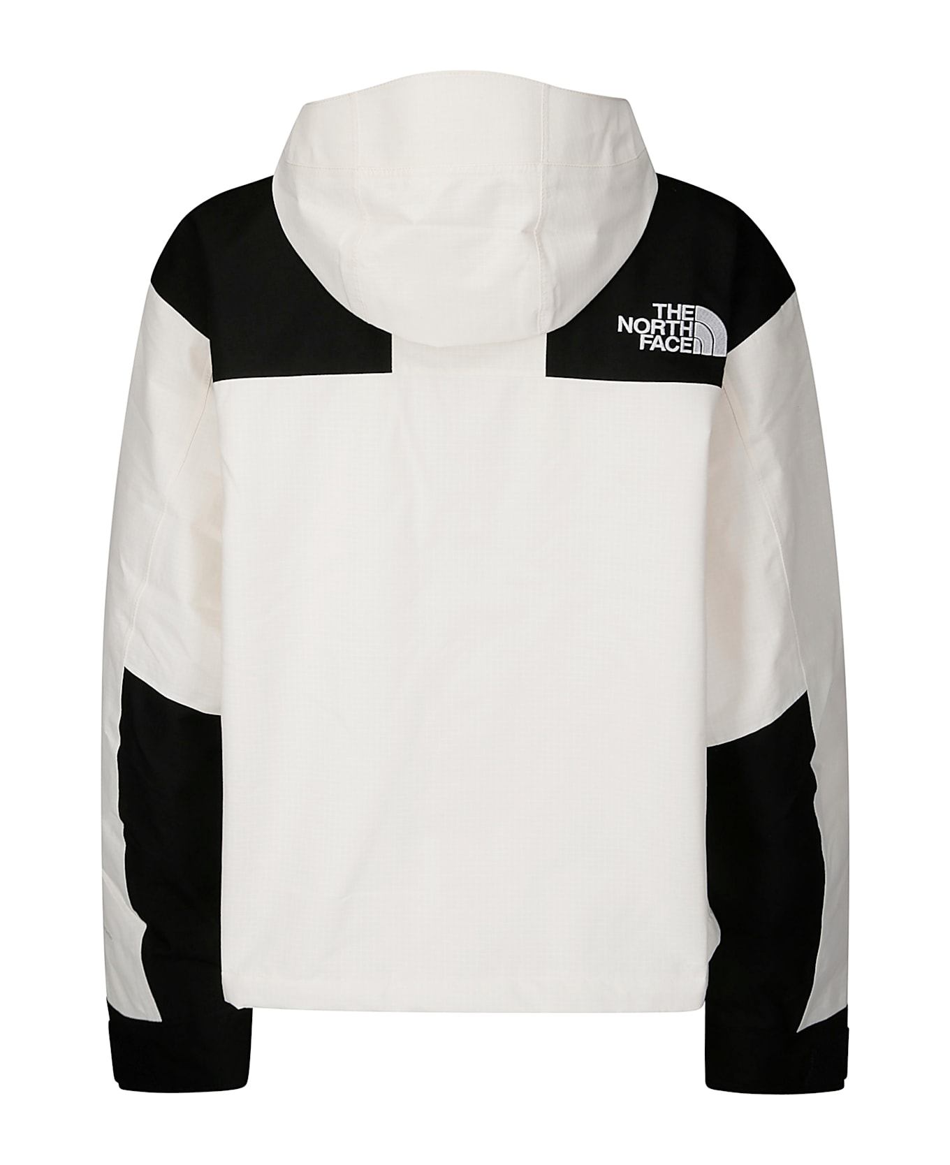 The North Face W Dryvent Mono Mountain Jacket - WHITE