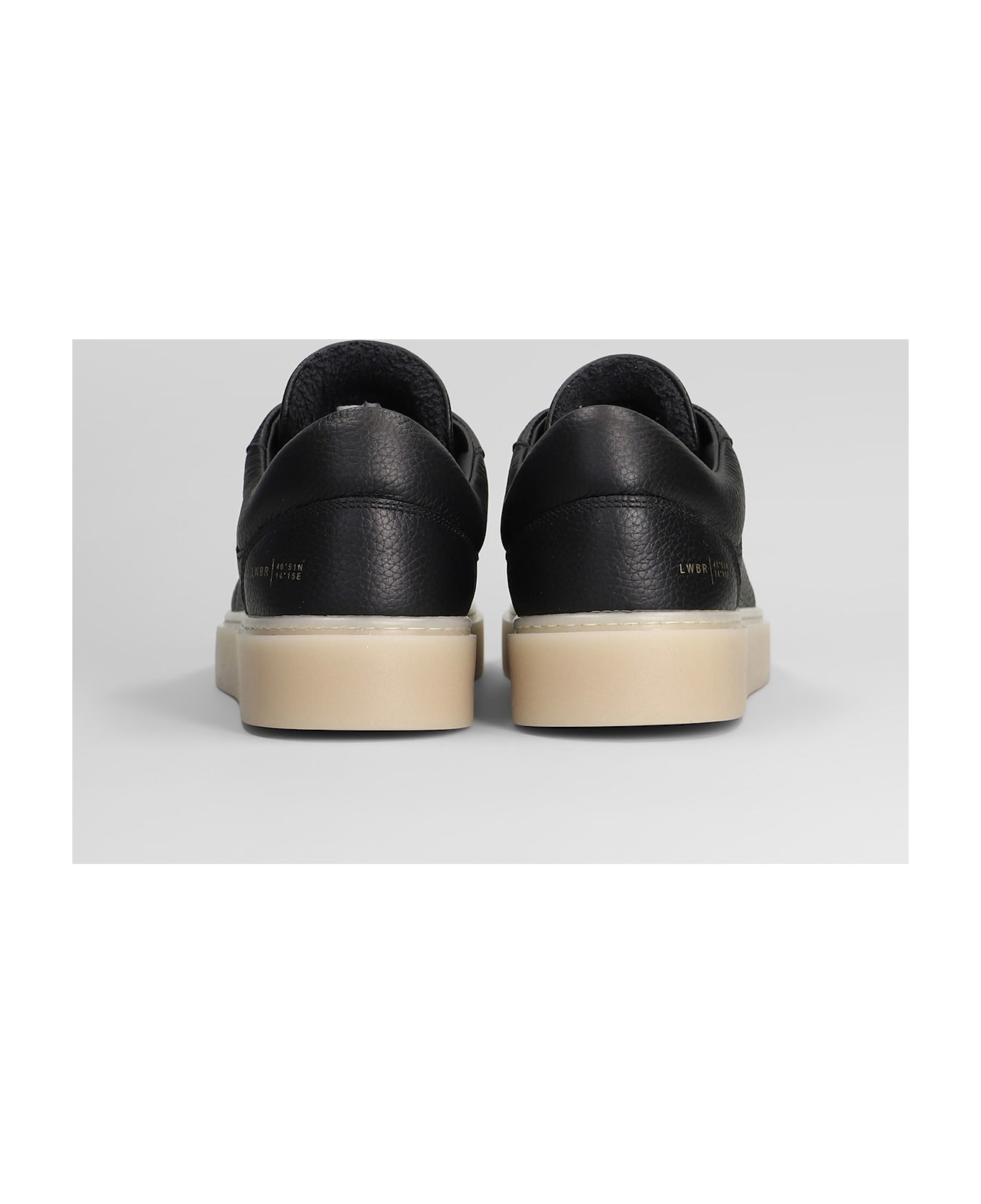 Low Brand Fly Sneakers In Black Leather - black