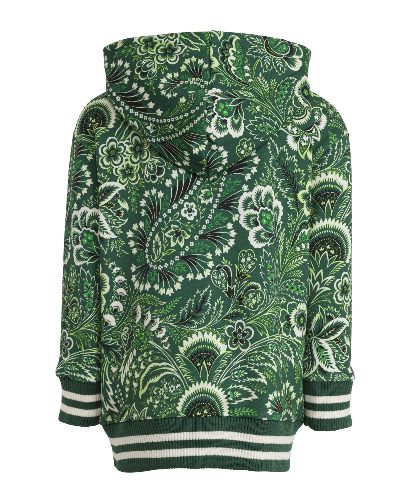 Etro Floral Sweatshirt - green/ivory