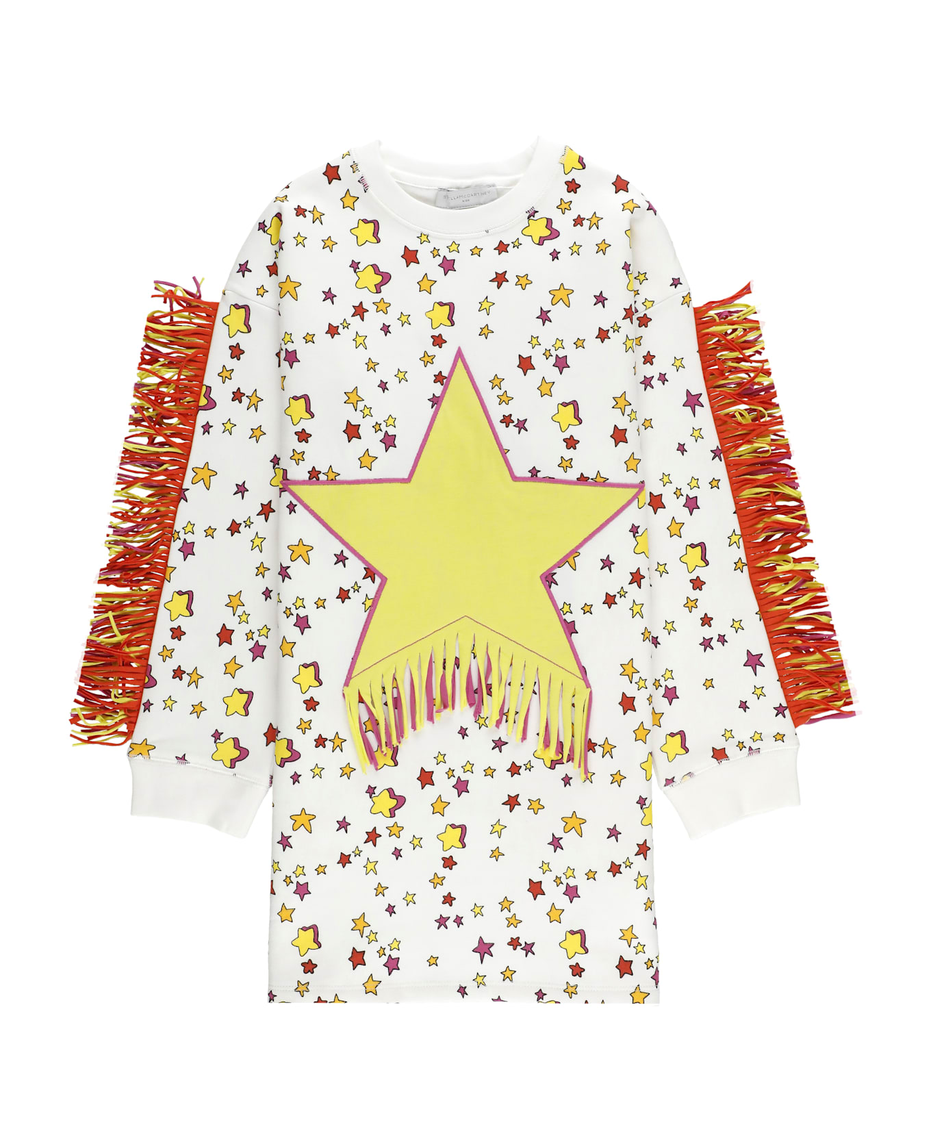 Stella McCartney Printed Dress With Fringes