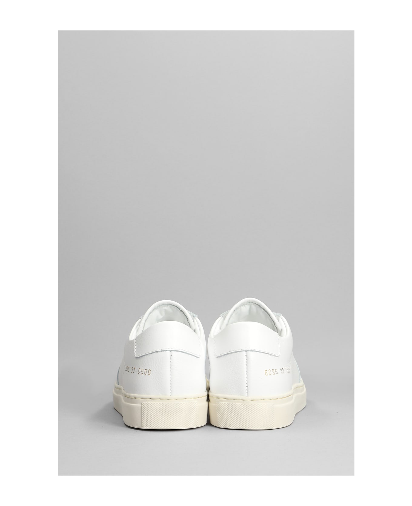 Common Projects Bball  Sneakers In White Leather - white