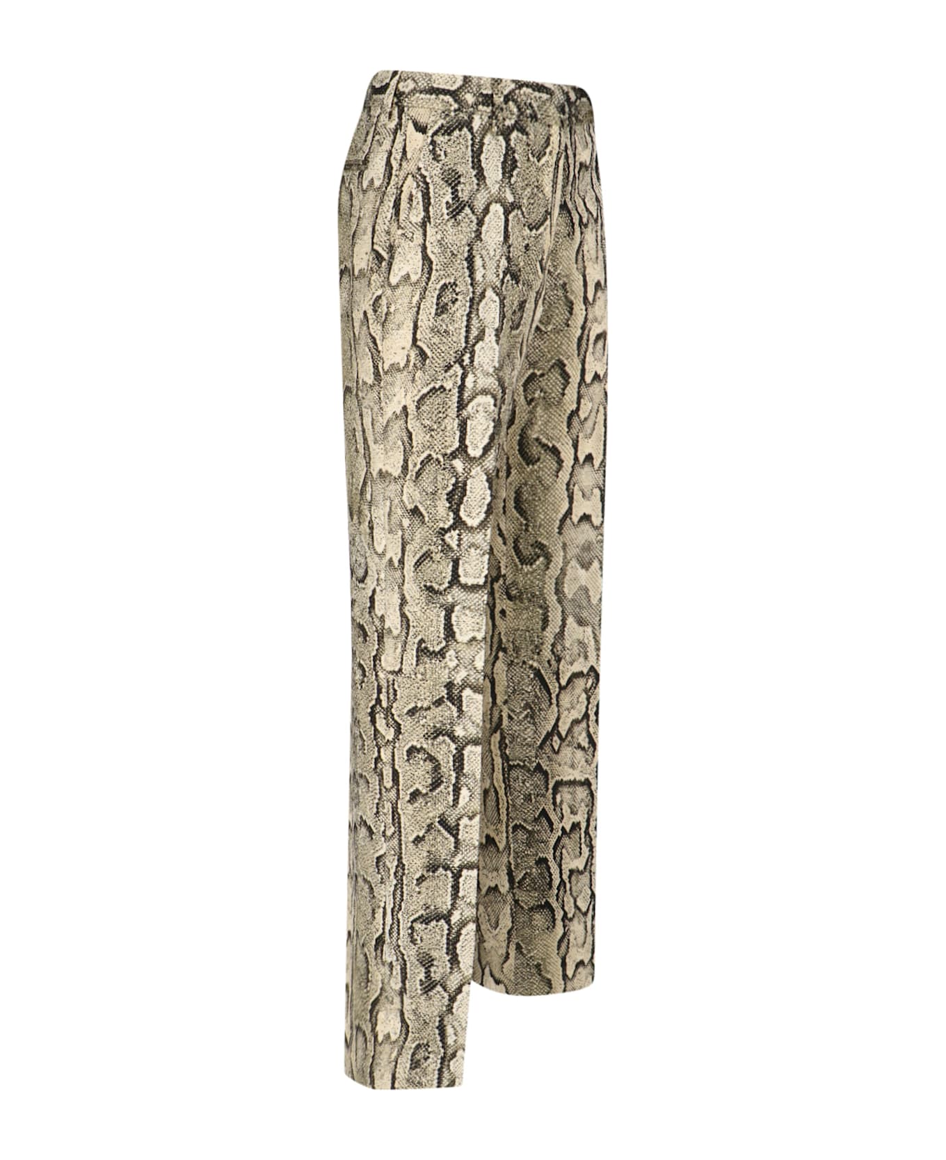 Dries Van Noten Python Print Pants - Beige