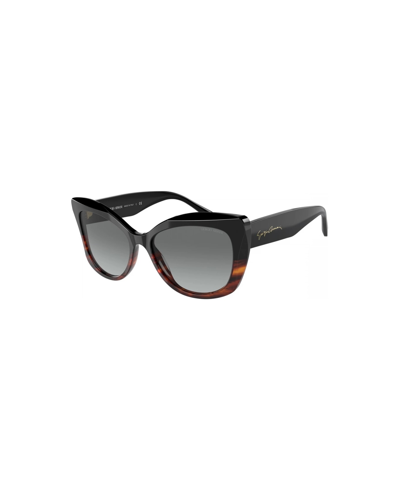 Giorgio Armani AR8161 5928/11 Sunglasses