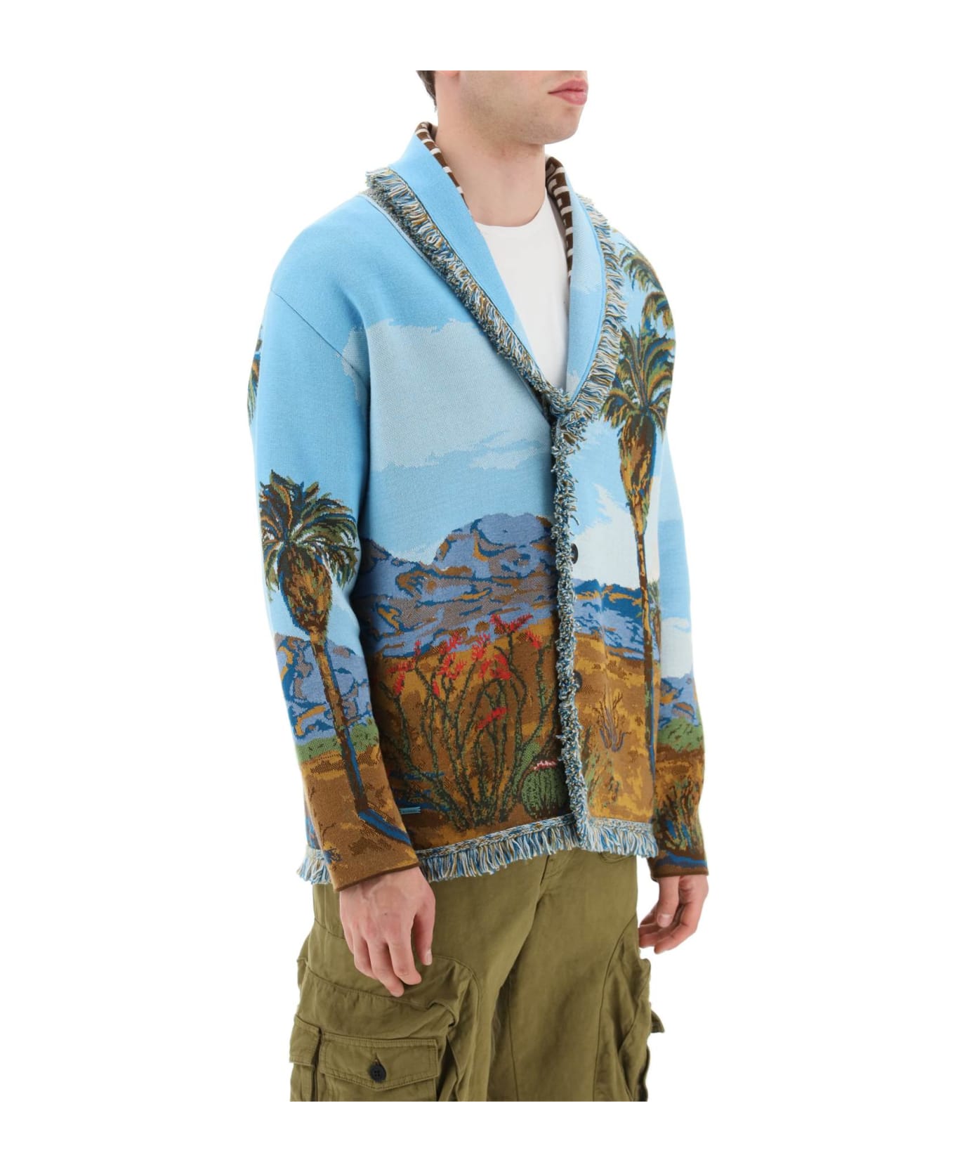 Alanui Embroidered Land Of Dreams Cardigan - Multicolor ニットウェア