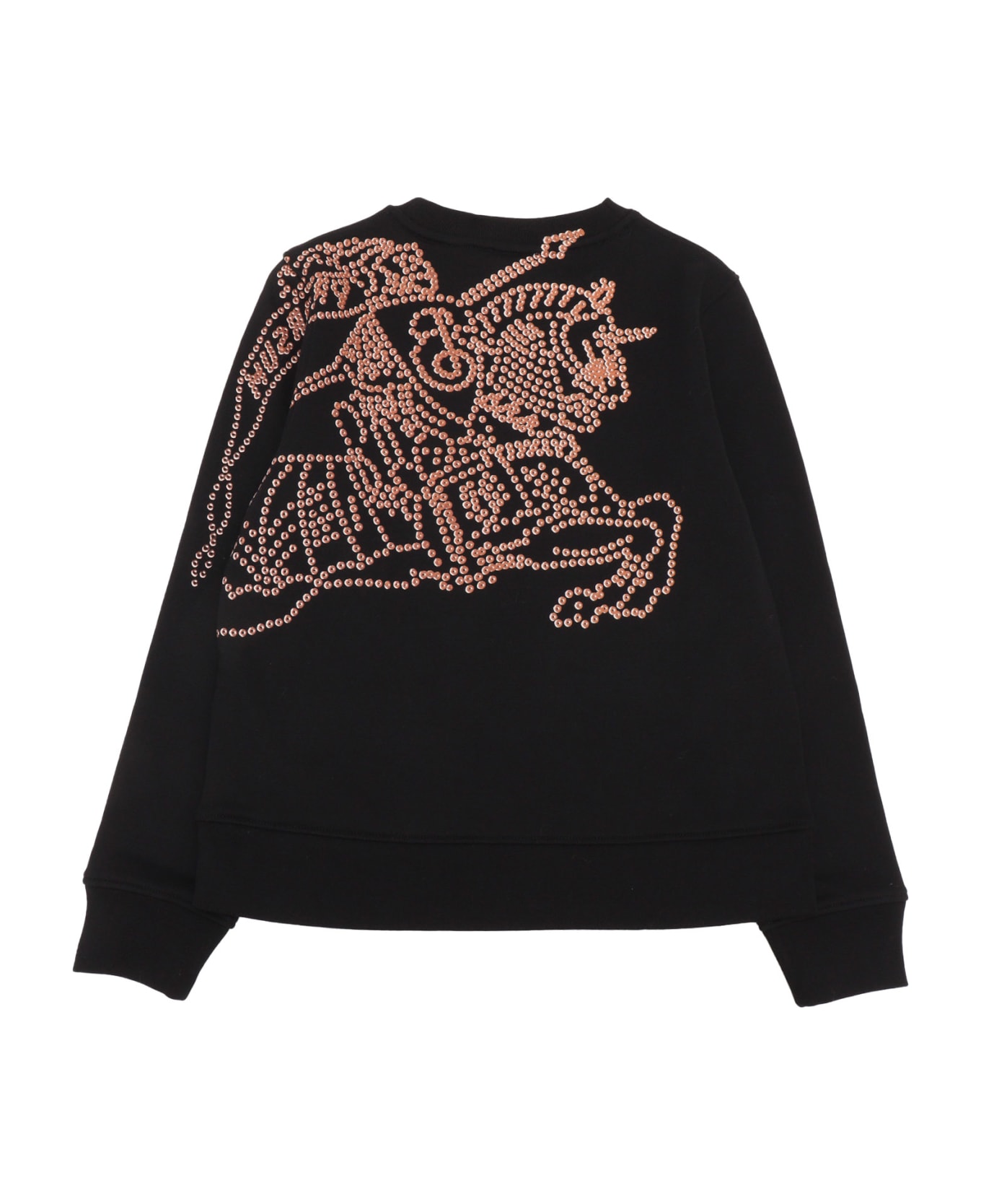 Burberry Kid Boy Sweaters - BLACK