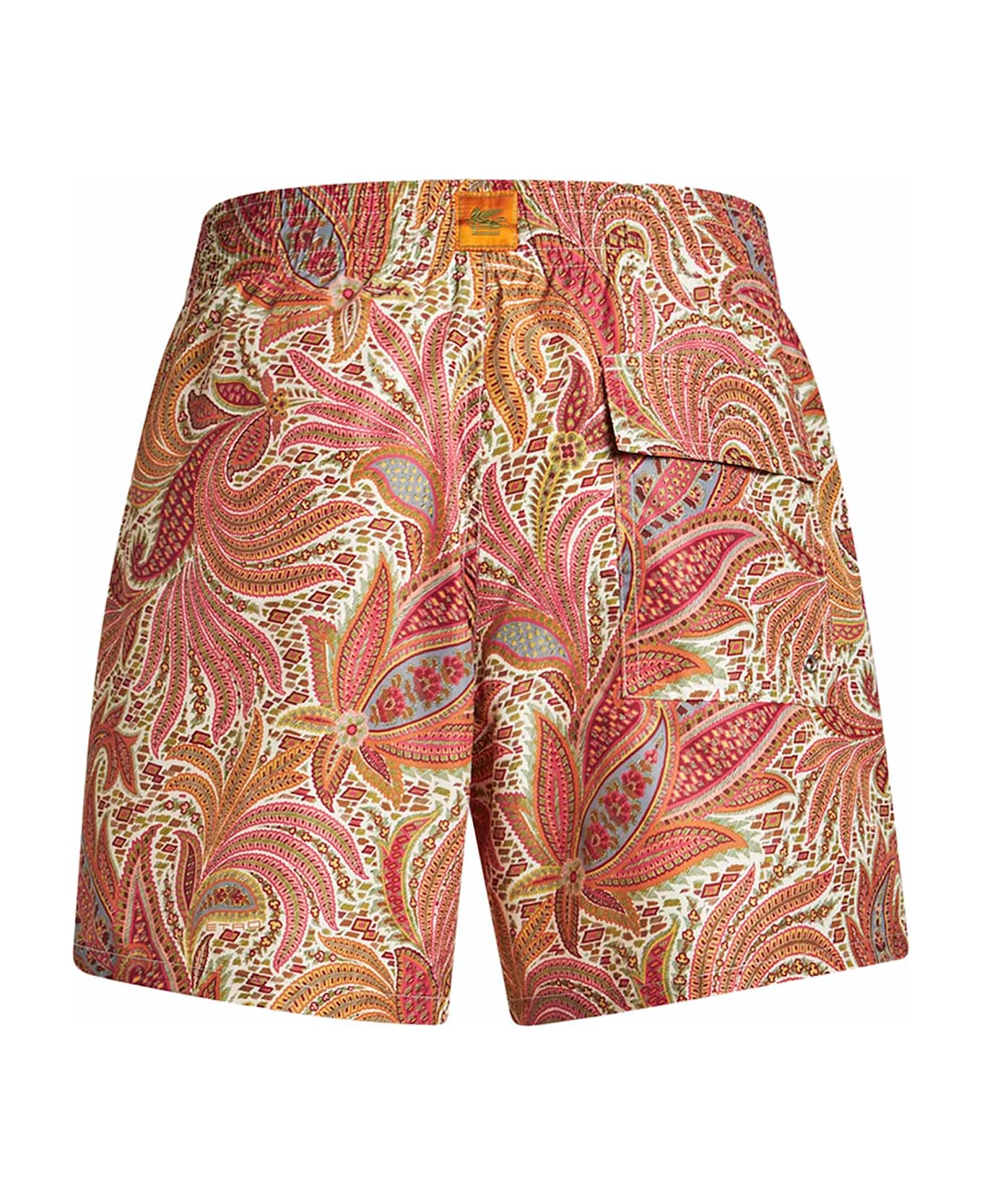 Etro Paisley Swimsuit - Multicolor