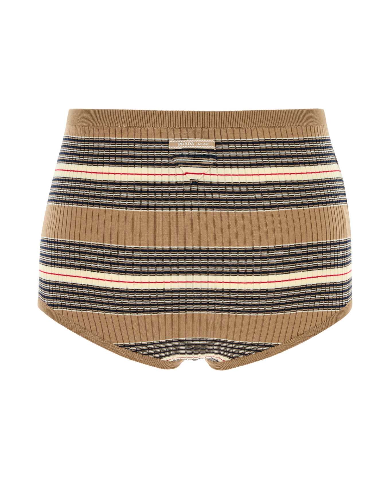 Prada Embroidered Stretch Cotton Blend Shorts - CAMMELLO