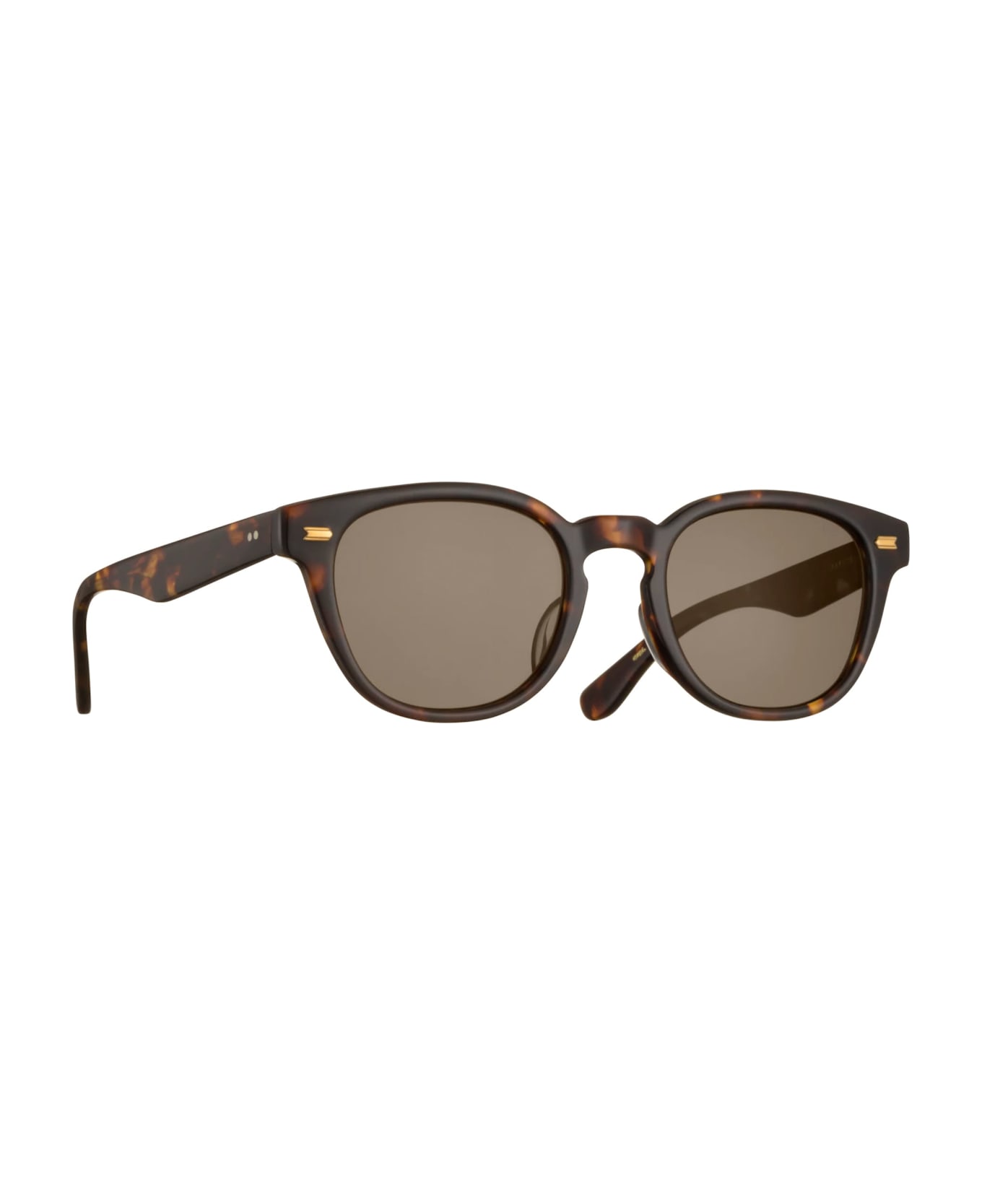 Eyevan 7285 Webb - Tortoise Sunglasses - Tortoise