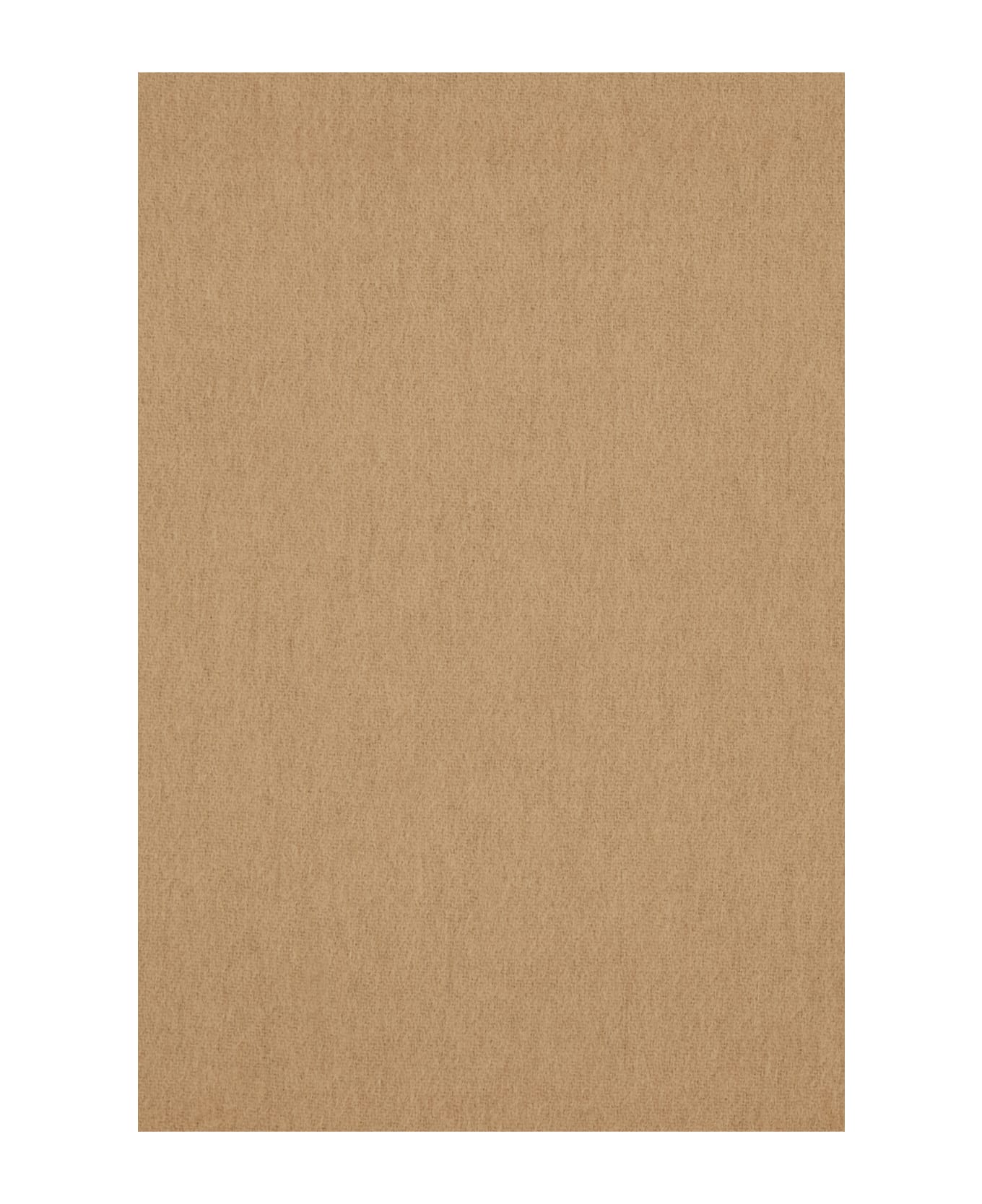 Burberry Cappuccino Cashmere Reversible Scarf - CAMEL /BLACK