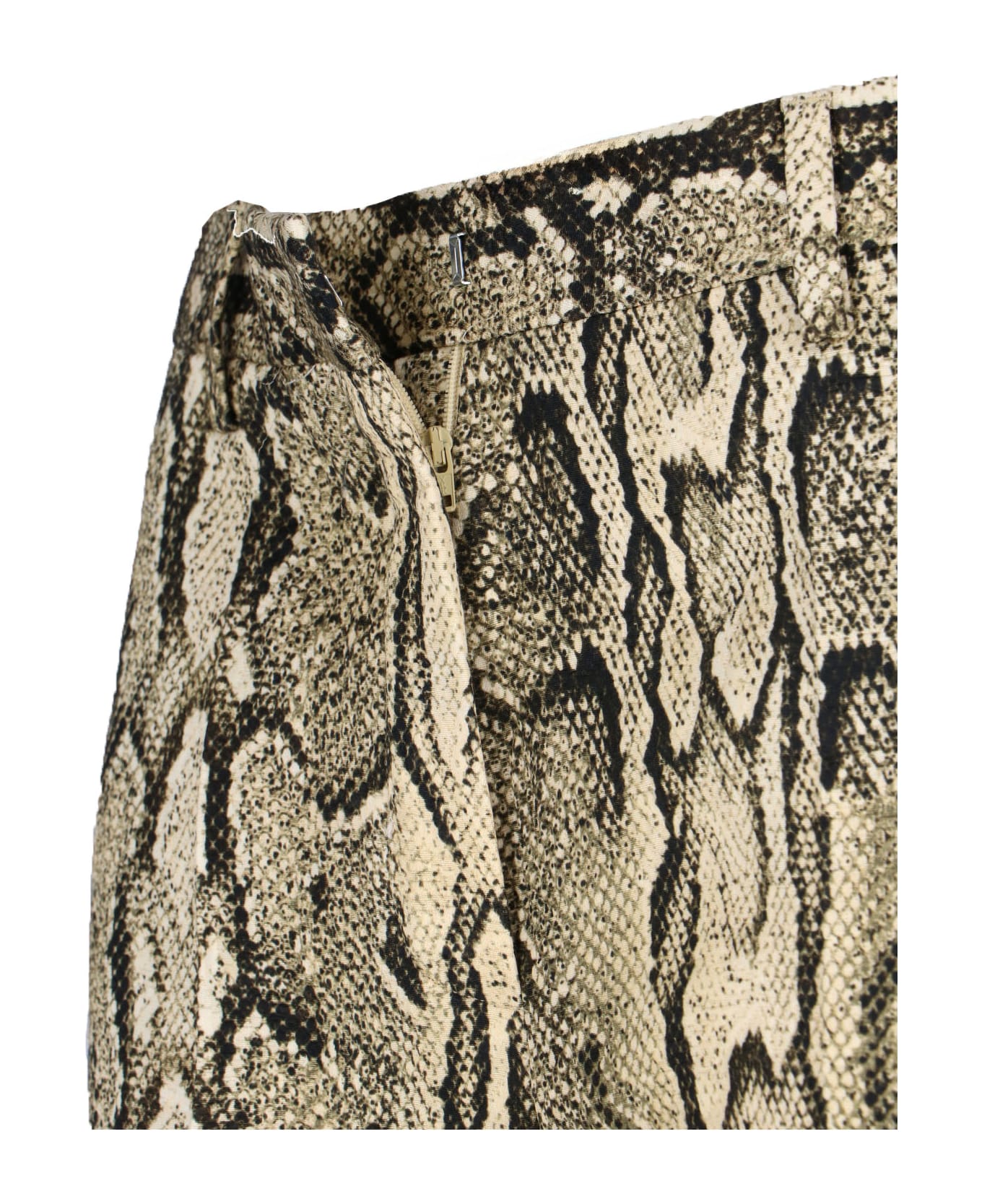Dries Van Noten Python Print Pants - Beige
