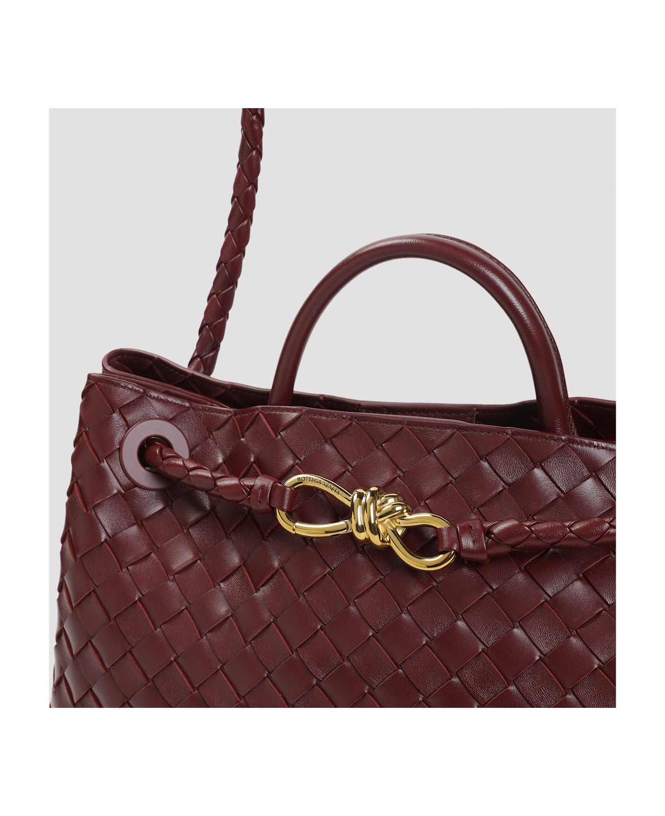 Bottega Veneta Andiamo Medium Bag - Barolo