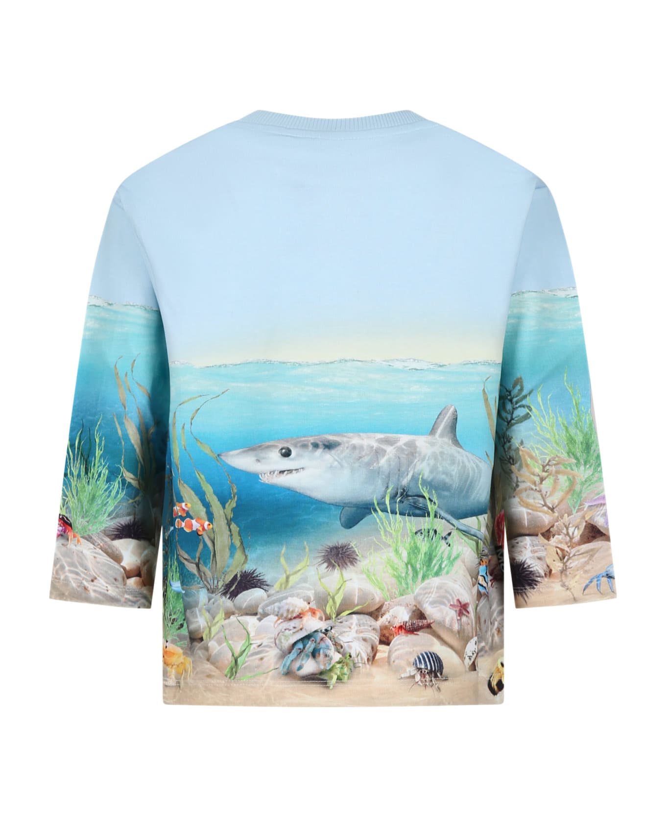 Molo Light Blue Sweatshirt For Boy With Shark Print - Light Blue
