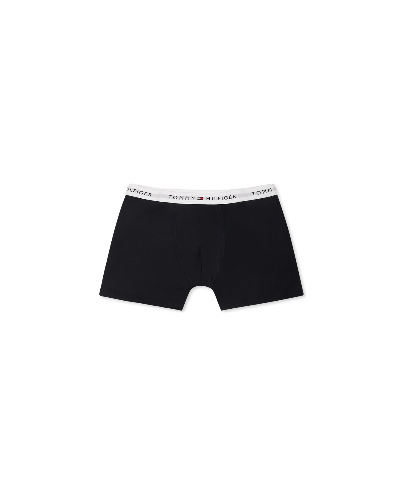 Tommy Hilfiger Multicolor Boxer Briefs Set For Boy With Logo - Multicolor