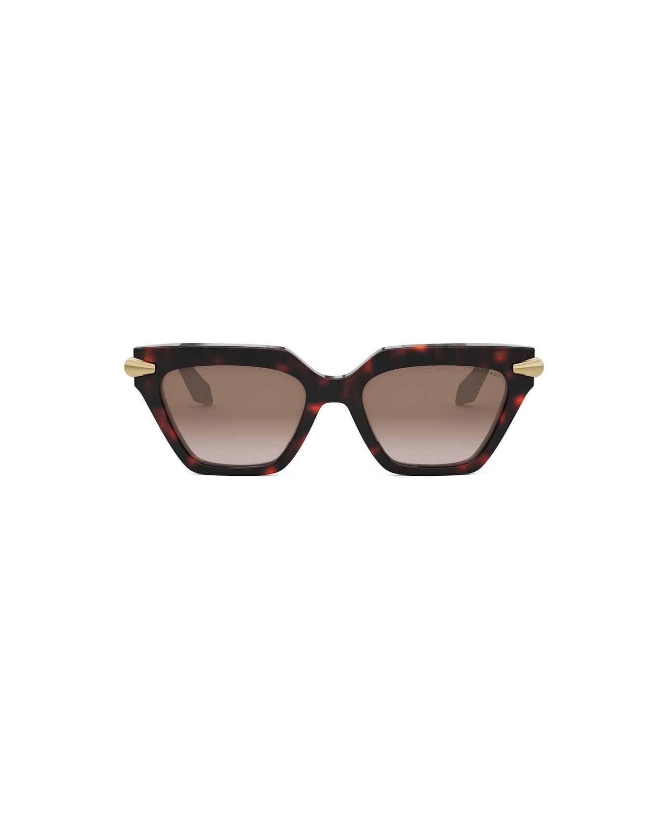 Bulgari Sunglasses - Havana/Marrone