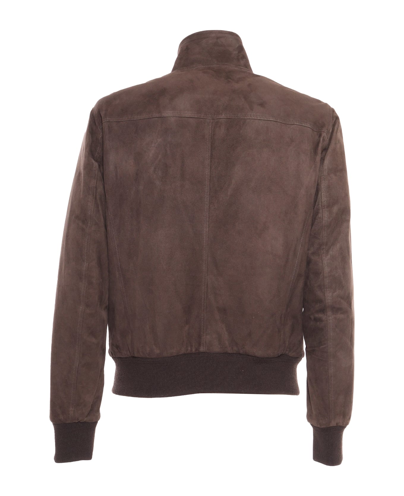 Stewart Jacket With Double Slider Zip, Barracuda Collar With 2buttons, 2welt Side Pockets, Bottom Garment And Cuffs In Rib Knit. Goose Down Padding. - BROWN