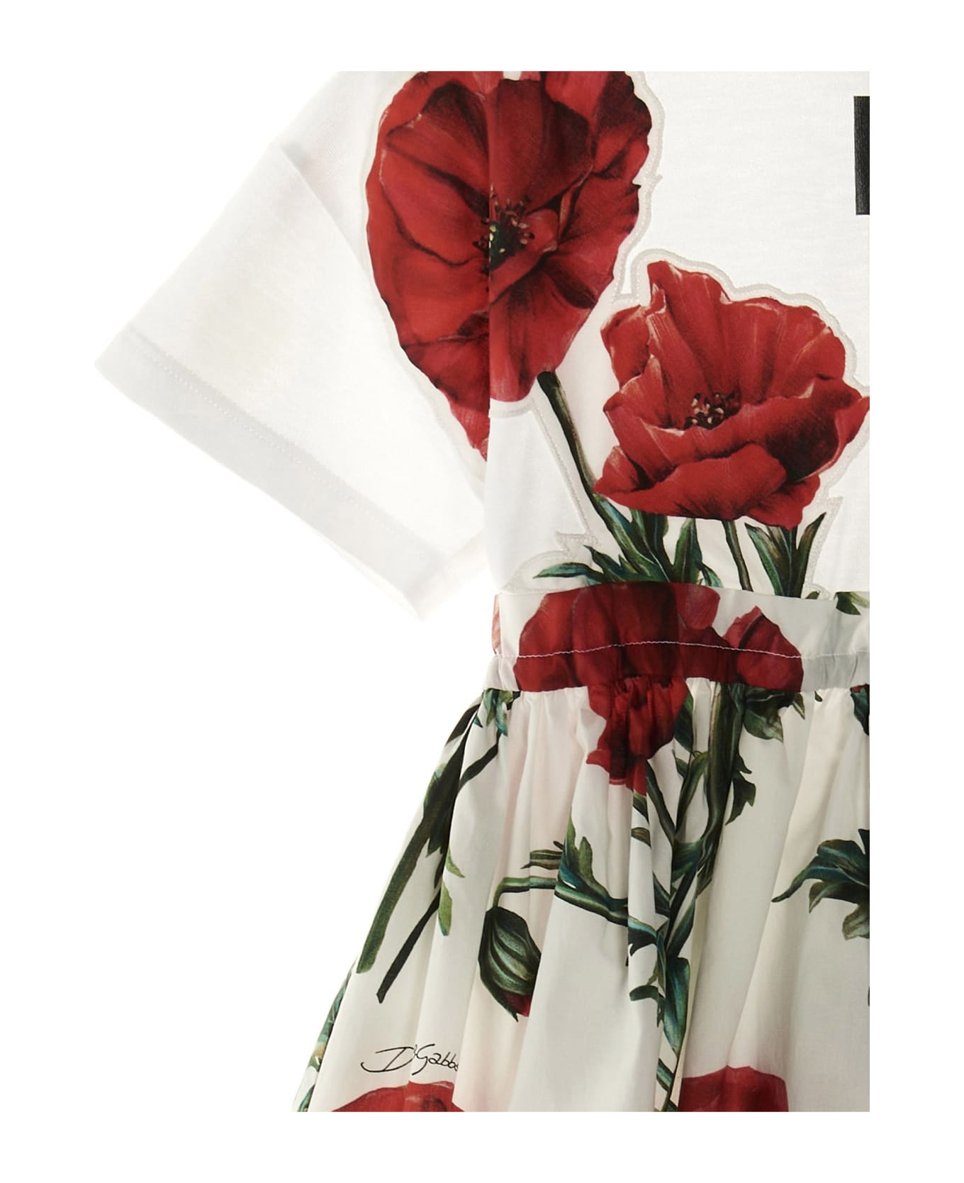 Dolce & Gabbana 'papaveri' Dress - Multicolor
