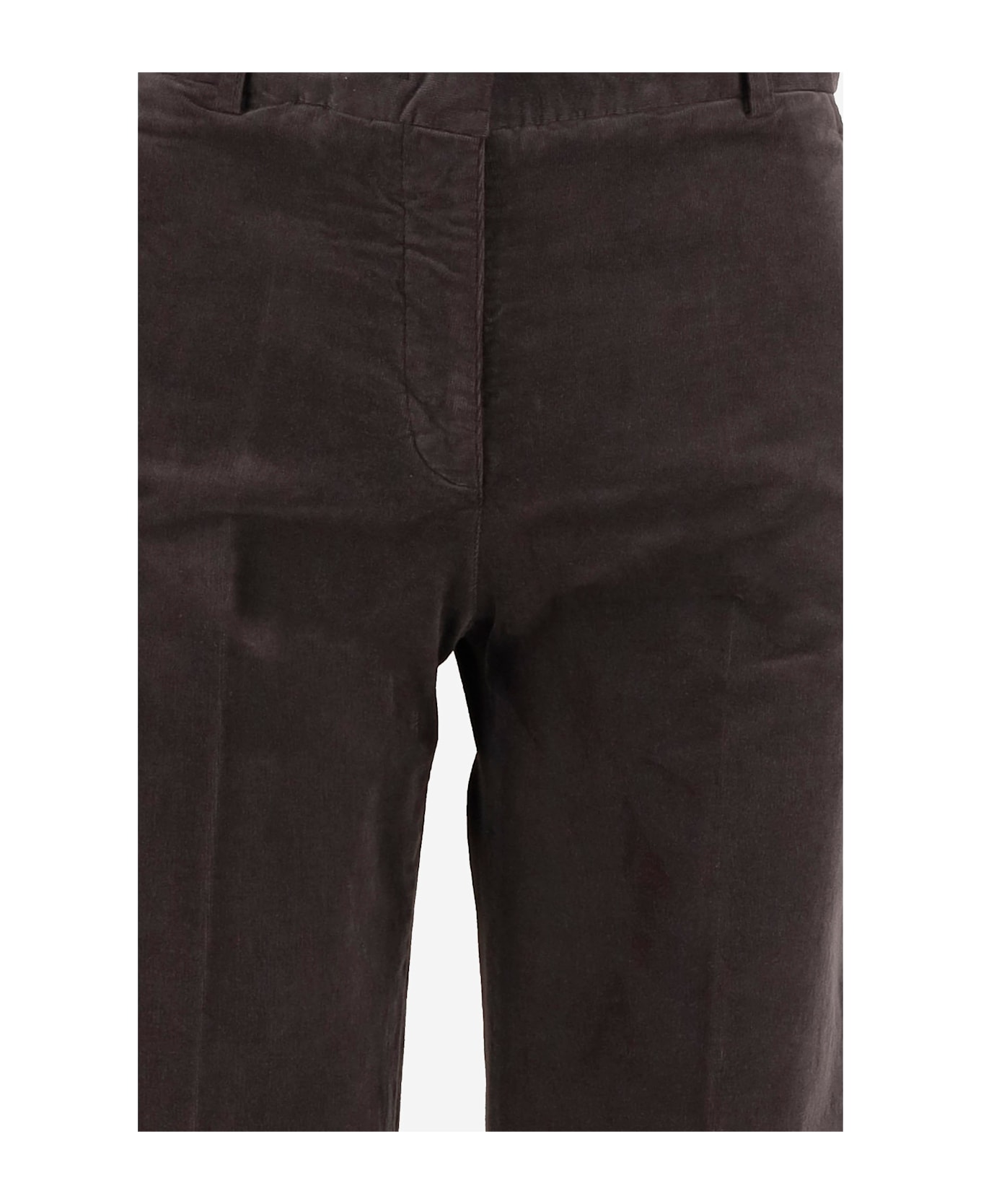 QL2 Stretch Cotton Melody Pants - Brown
