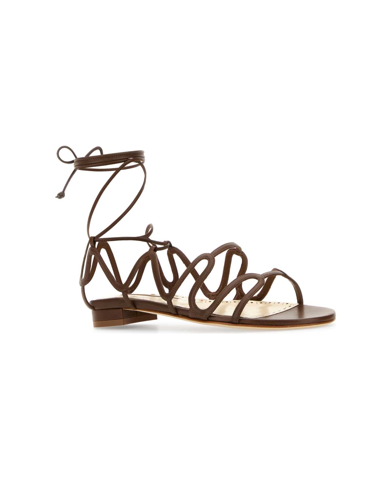 Manolo Blahnik Brown Leather Fawda Sandals - DBRW