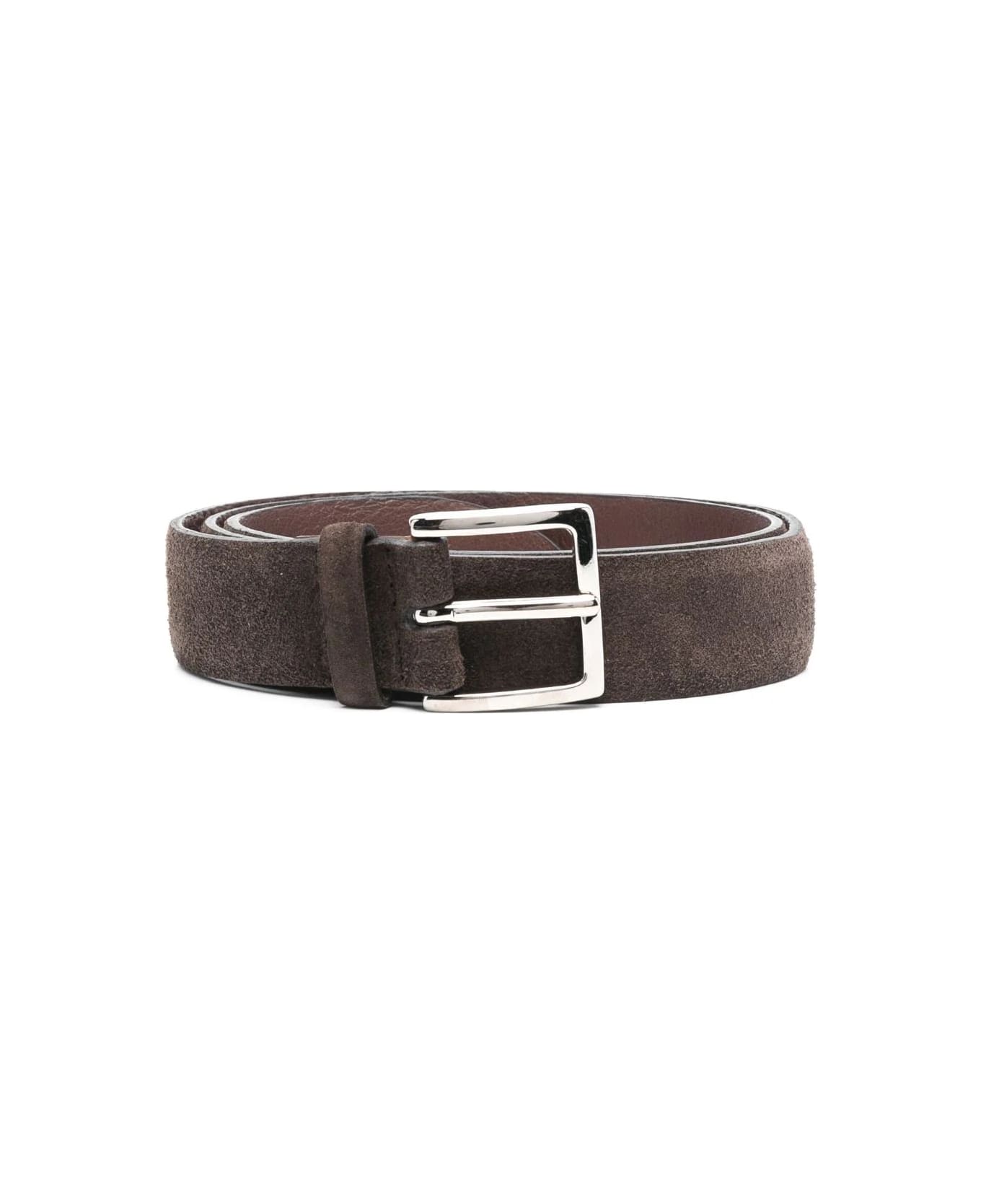 Orciani Dark Brown Suede Amalfi Belt - Brown