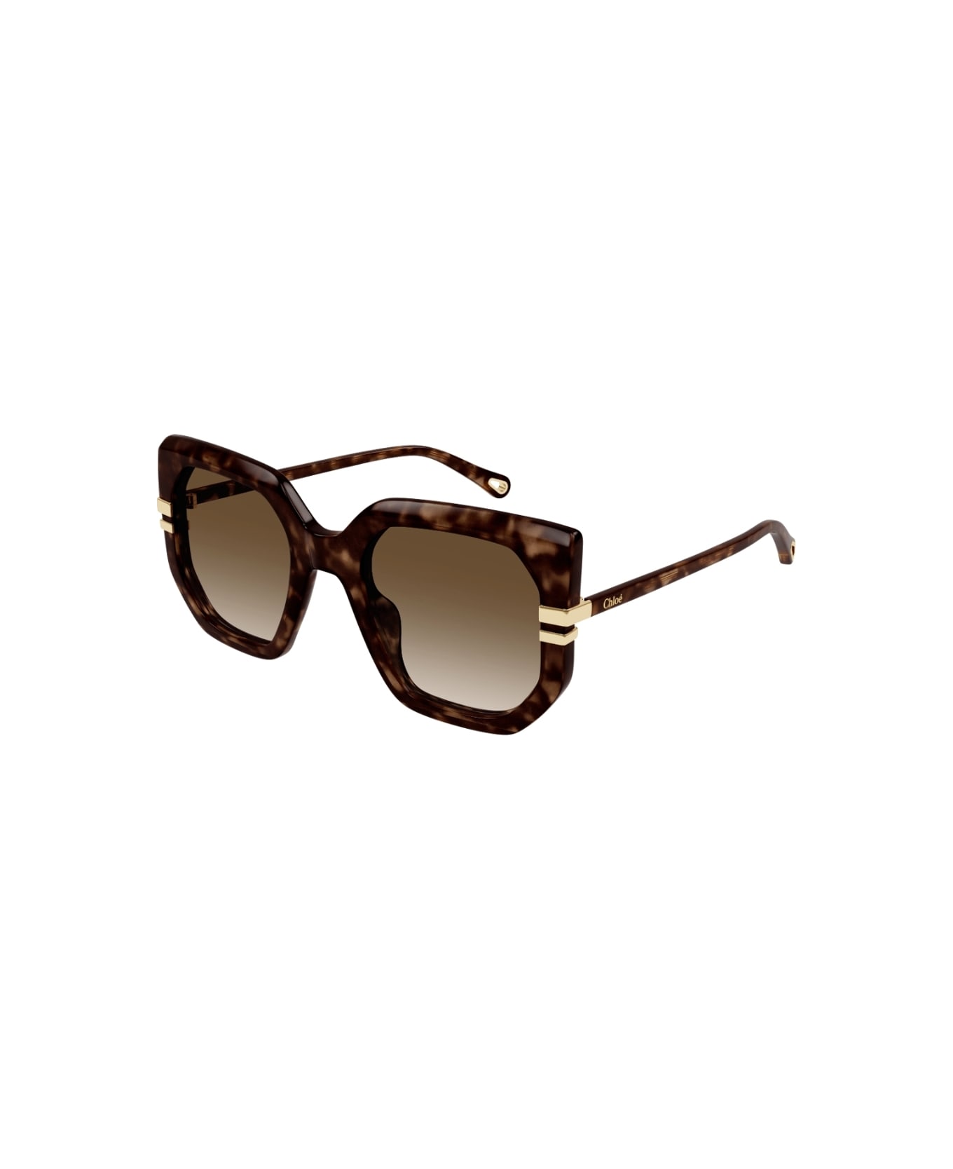 Chloé Eyewear CH0240s 002 Sunglasses