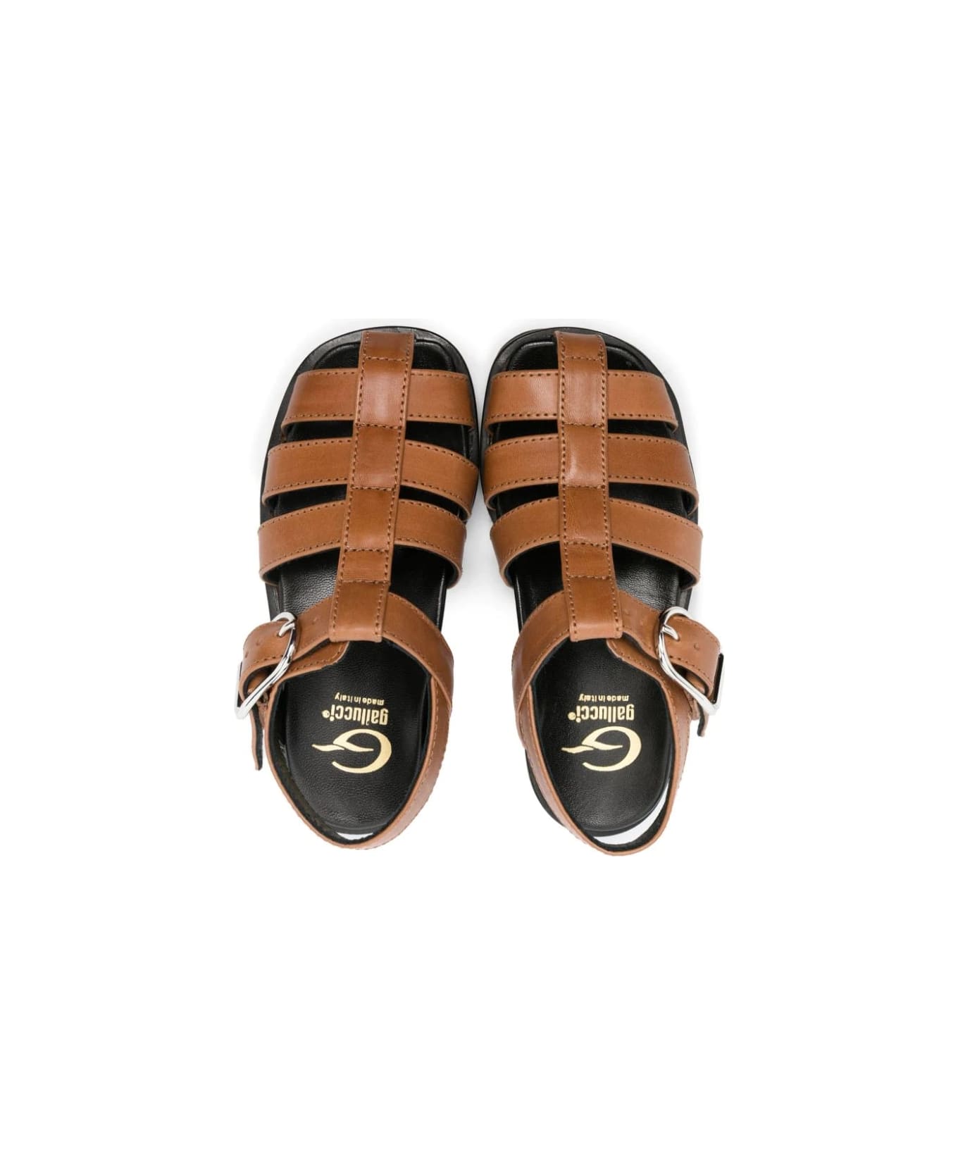 Gallucci Sandals With Buckle - Brown
