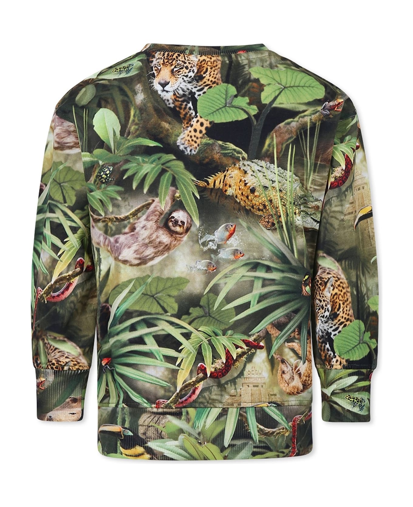 Molo Green Sweatshirt For Boy With Jungle Animal - Green