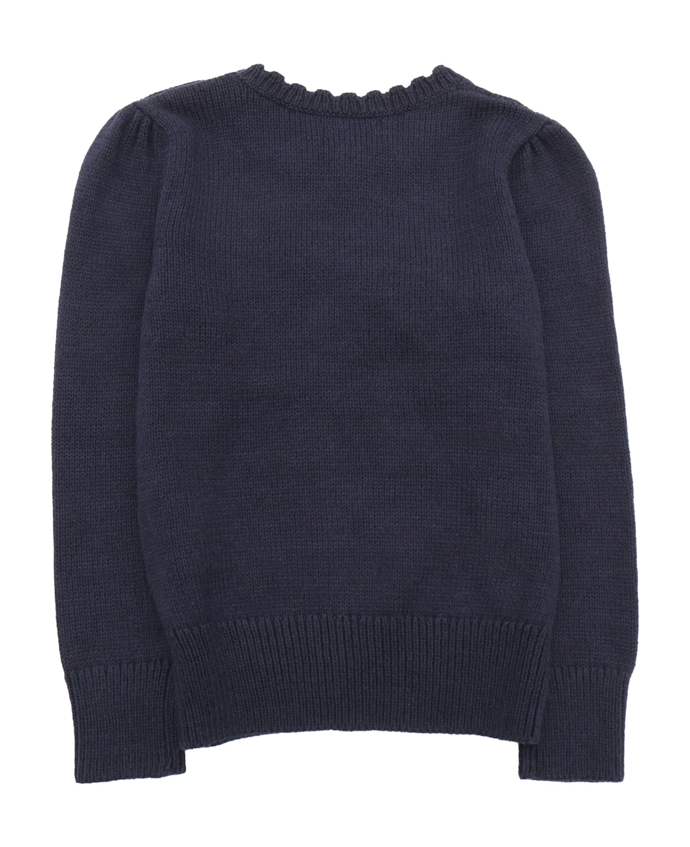 Polo Ralph Lauren Iconic Bear-tops-sweater - BLUE
