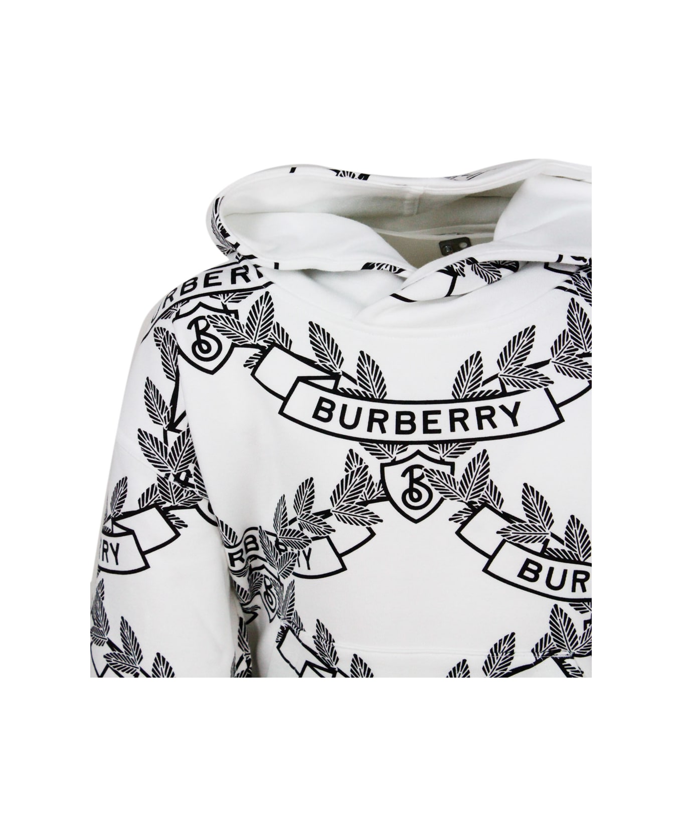 Burberry Rocky Crewneck Sweatshirt With Hood In Cotton Jersey With Logo Lettering Prints - White