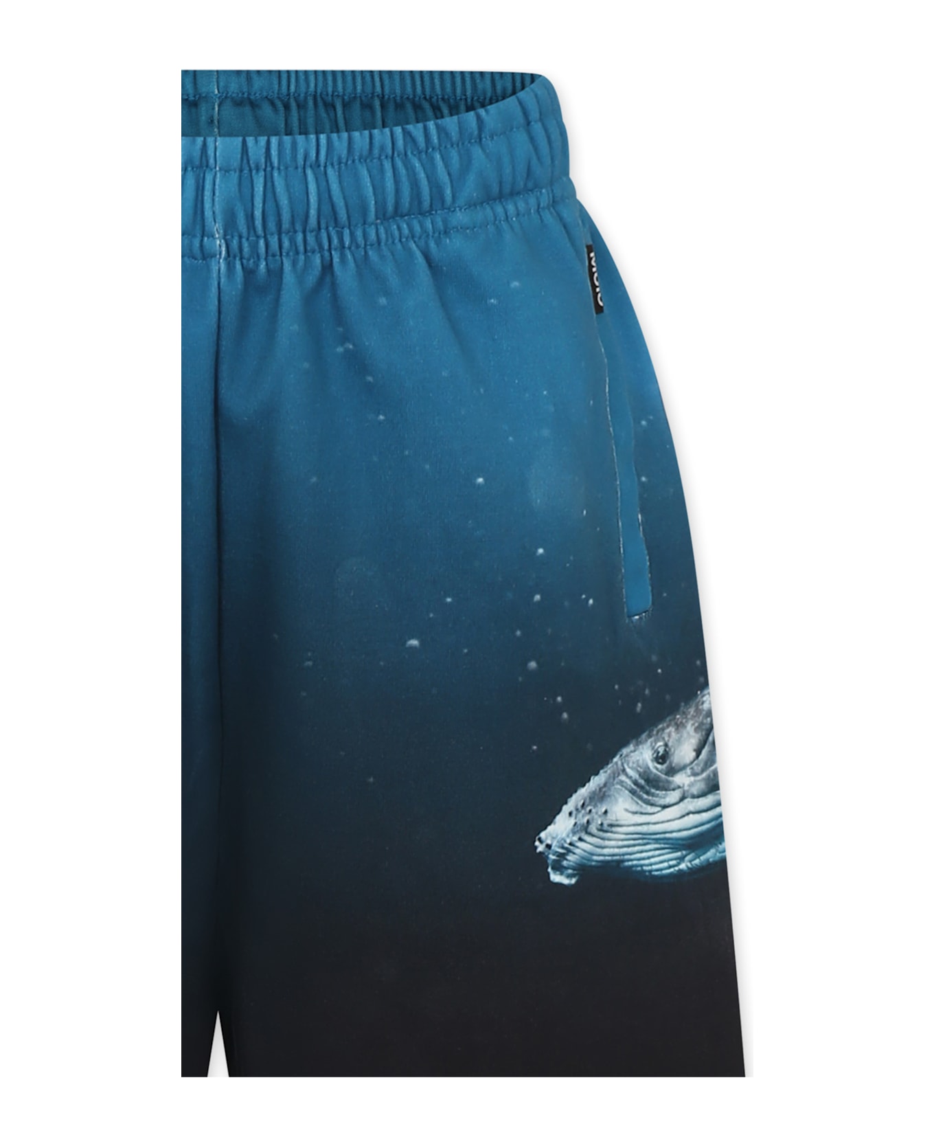 Molo Light Blue Shorts For Boy With Whale - Light Blue
