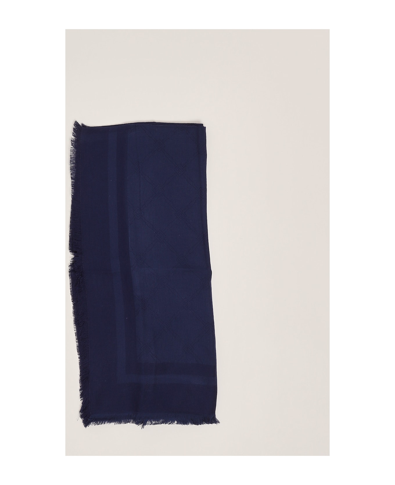 Elisabetta Franchi Viscosa/modal Scarf - NAVY