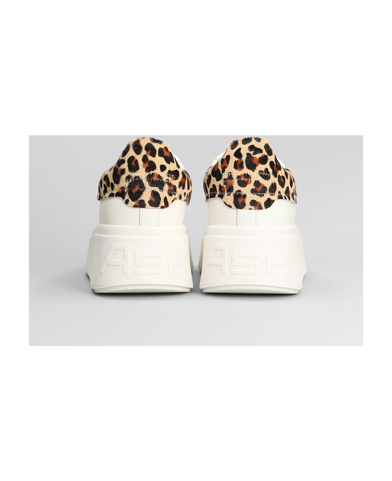 Ash Moby Sneakers In White Leather - white