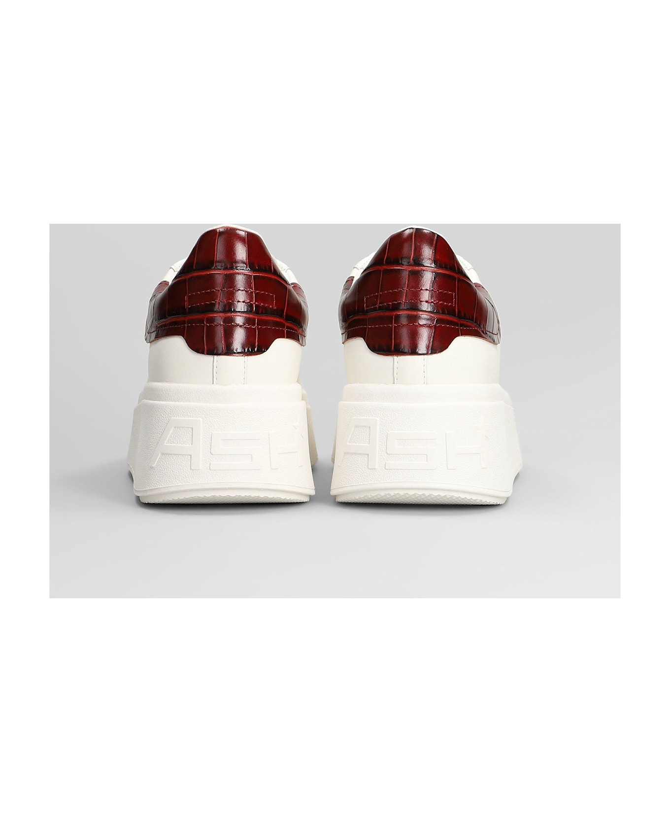 Ash Moby Sneakers In White Leather - white