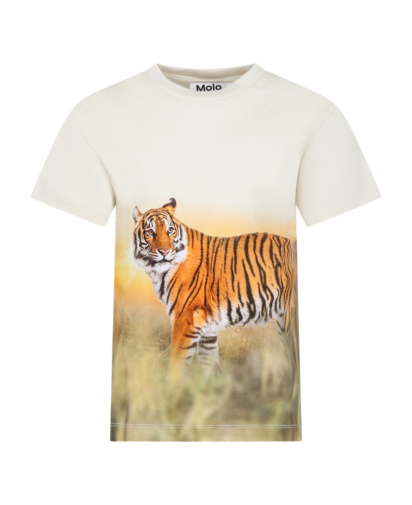 Molo Ivory T-shirt For Boy With Tiger - Ivory