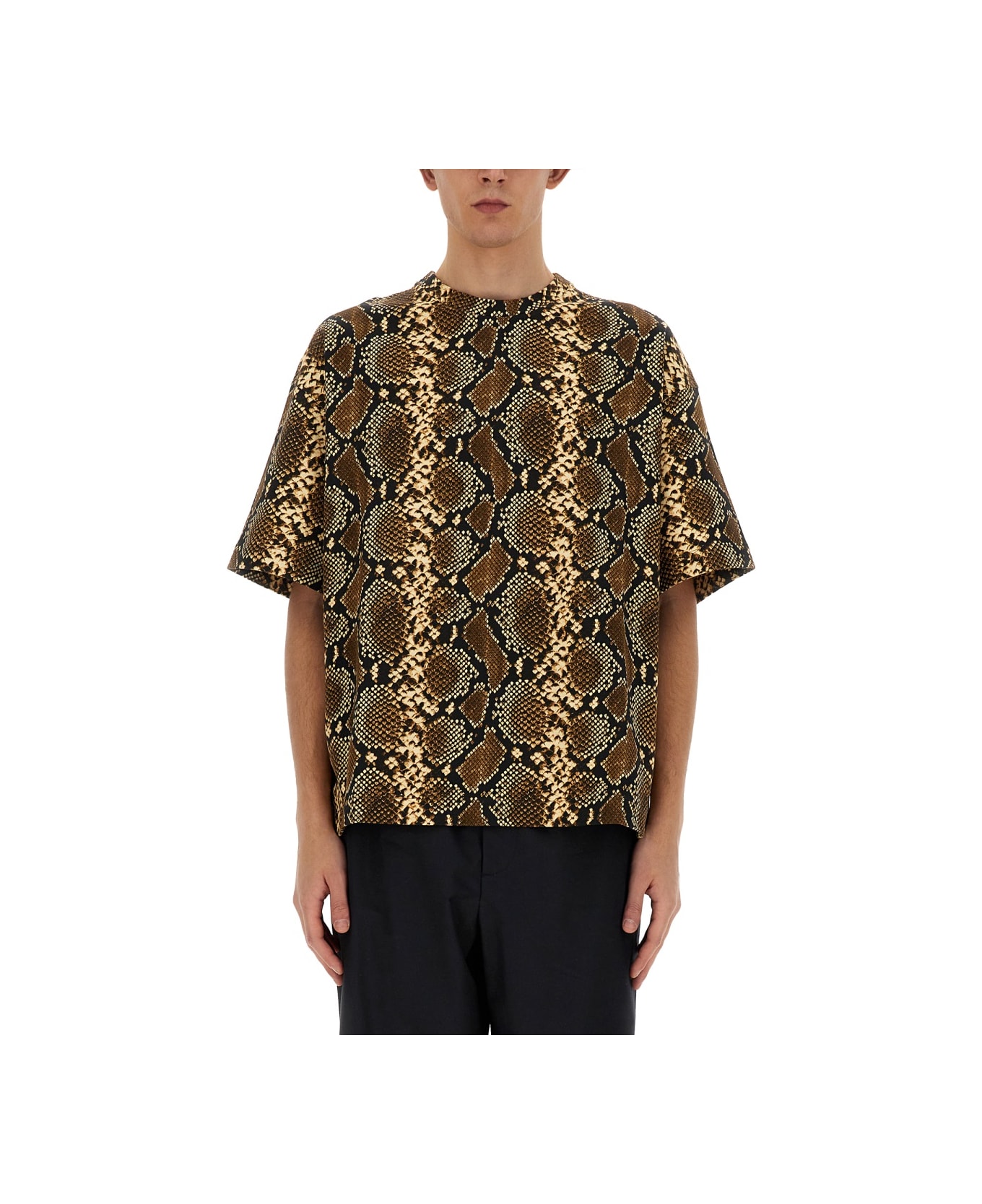 Jil Sander T-shirt With Animal Pattern - Multcolor