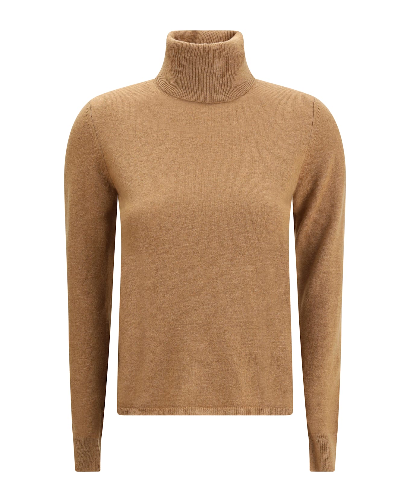 Max Mara Studio Educata Turtleneck