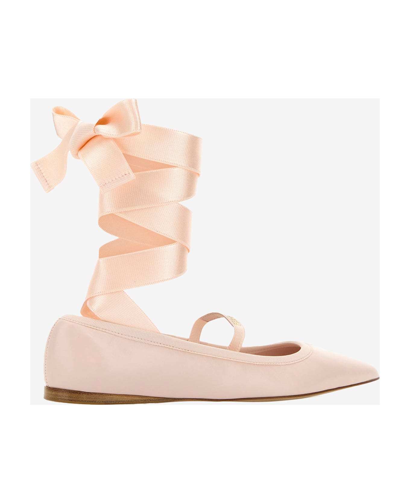 Ferragamo Carice Ballet Shoes In Pink Leather - Pink