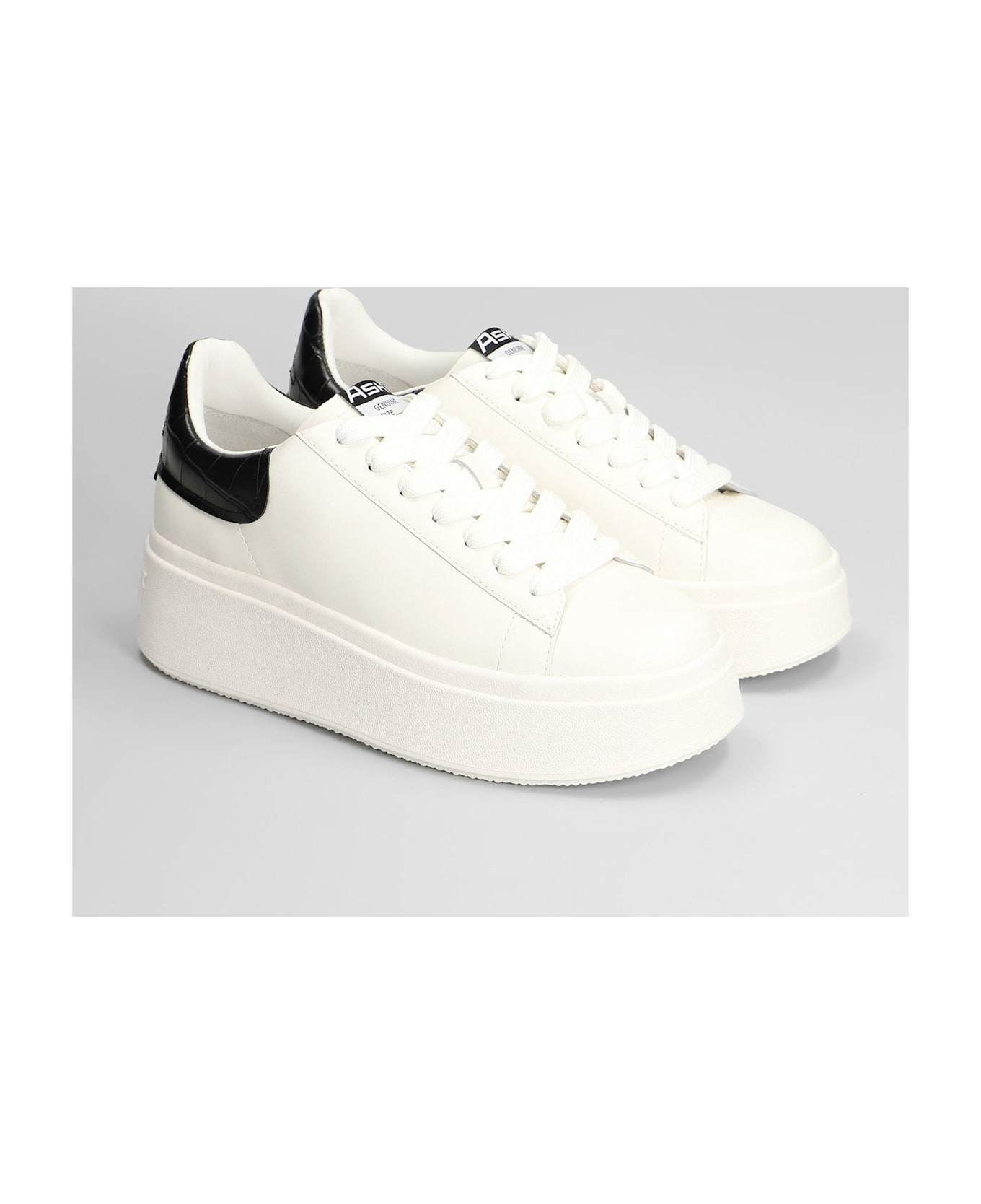 Ash Moby Sneakers In White Leather - white