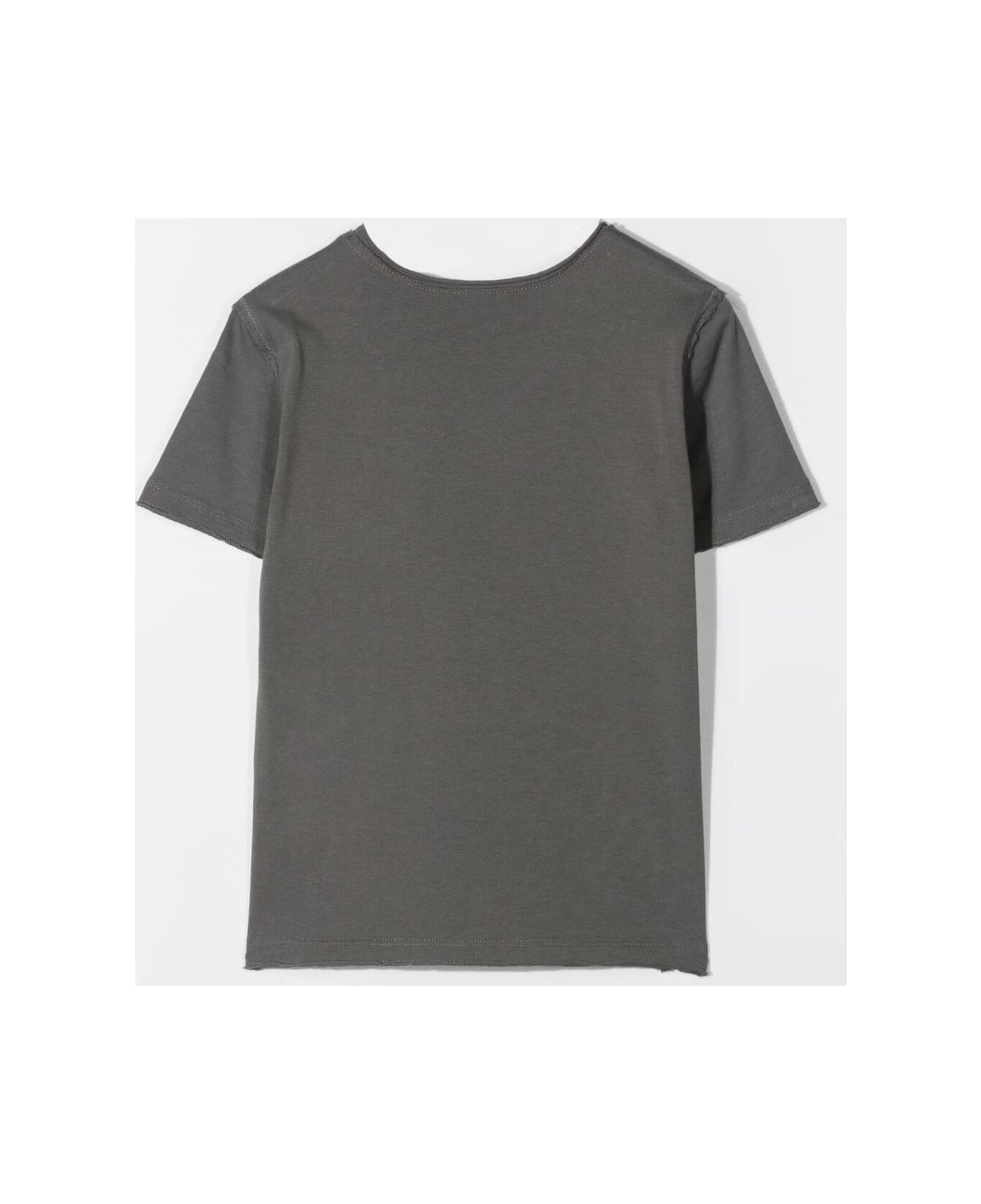 Zhoe & Tobiah T-shirt With Print - Gray