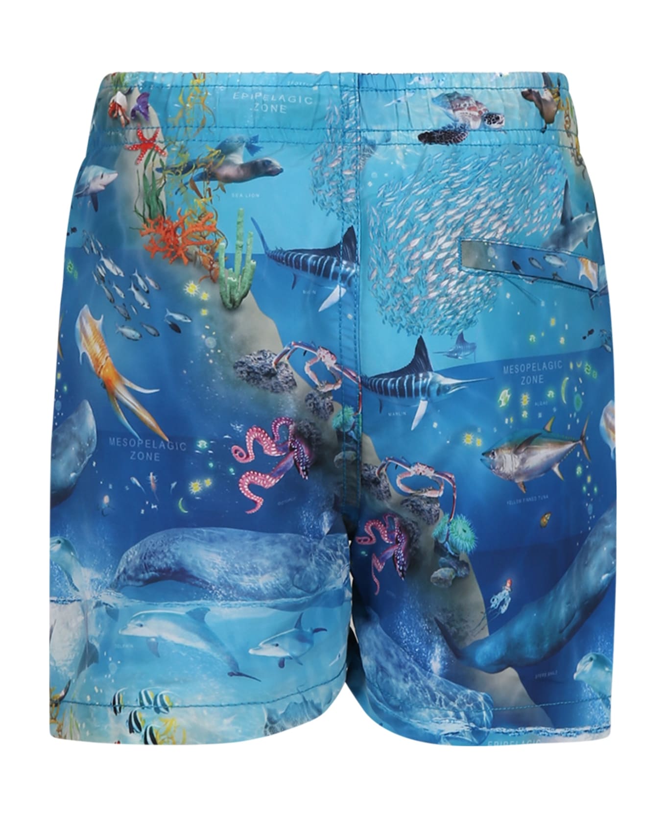 Molo Light Blue Swimsuit For Boy With Marine Animals - Light Blue