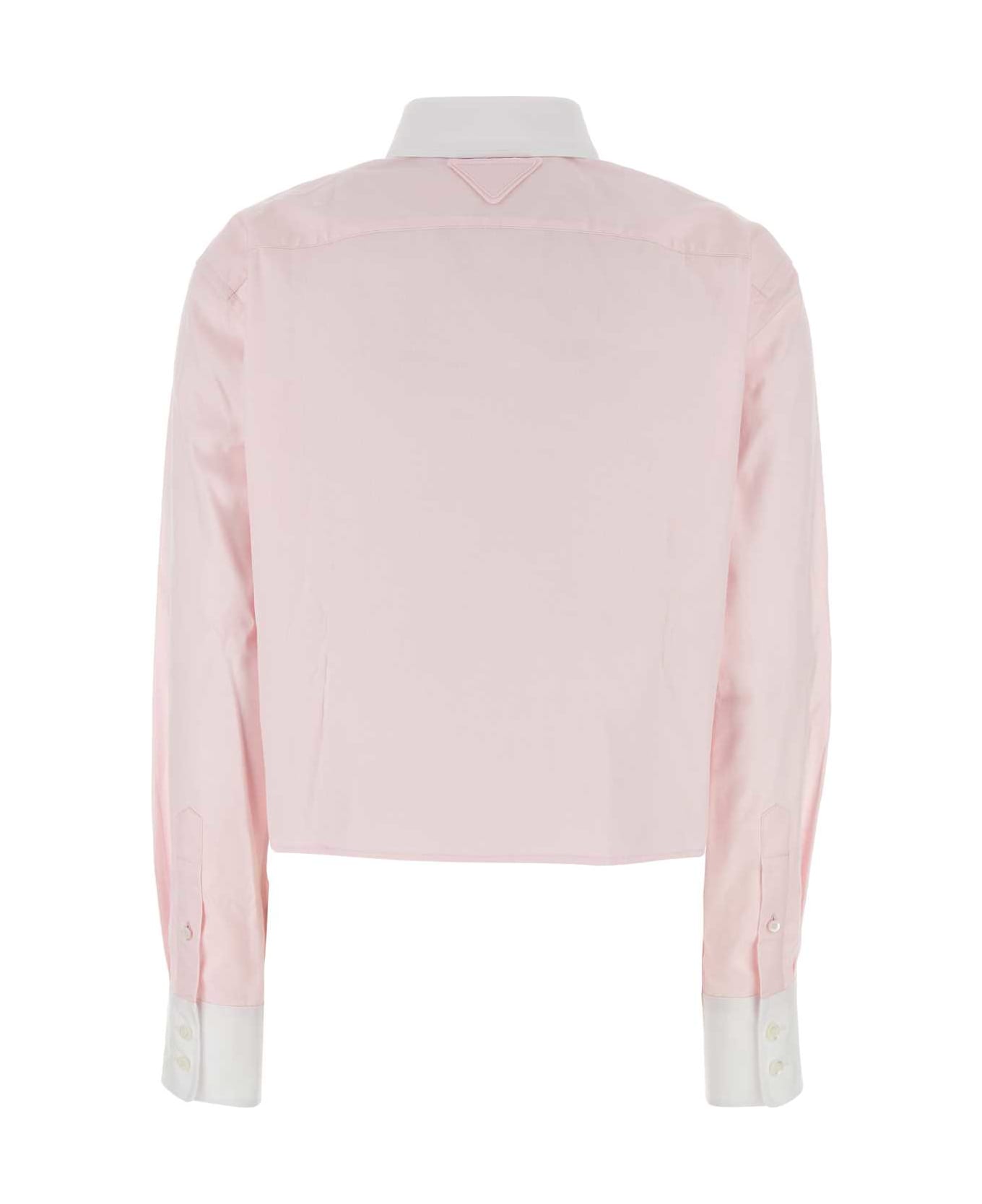 Prada Pastel Pink Oxford Shirt - ROSA