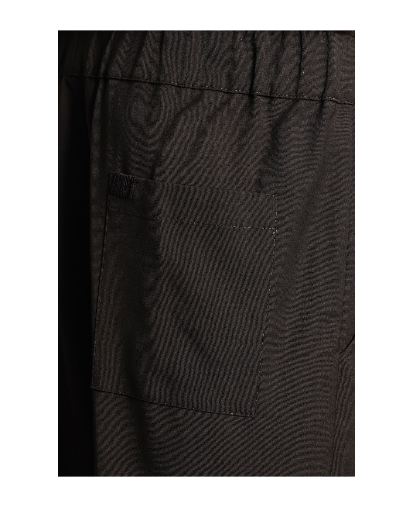 Laneus Pants In Brown Wool - brown