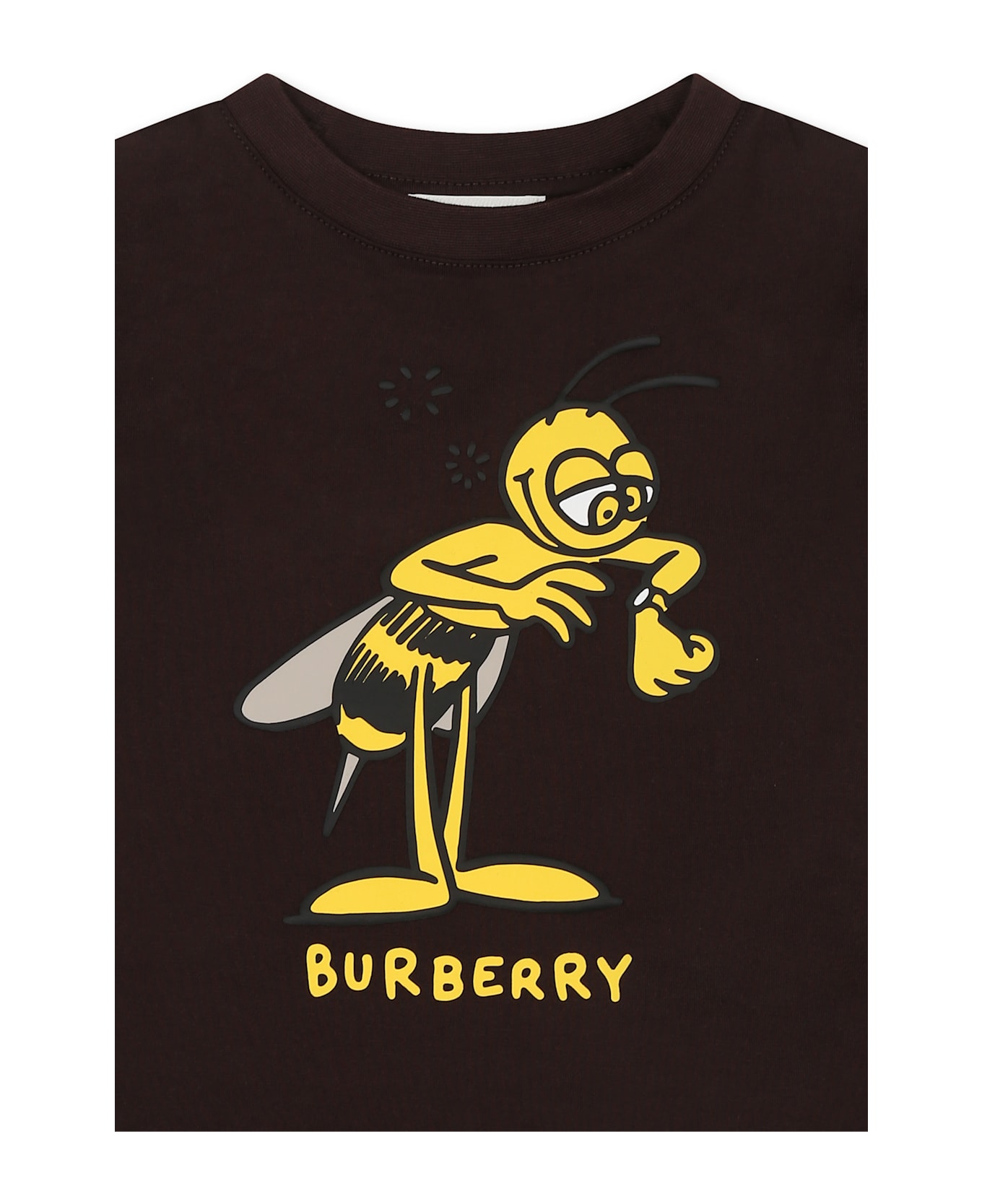 Burberry Brown T-shirt For Boy With Logo And Bee - Brown