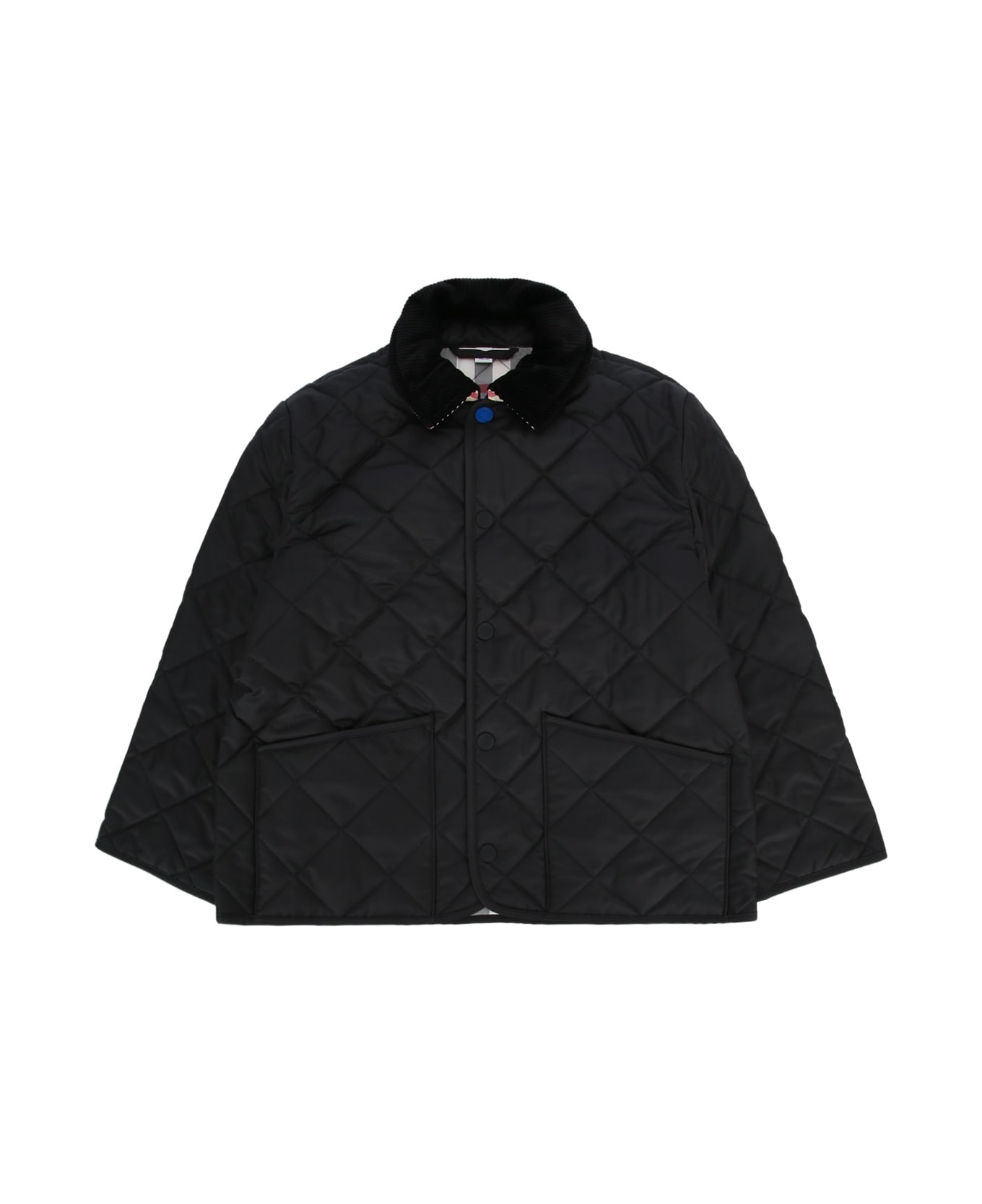 Burberry Kb6 Indy - BLACK