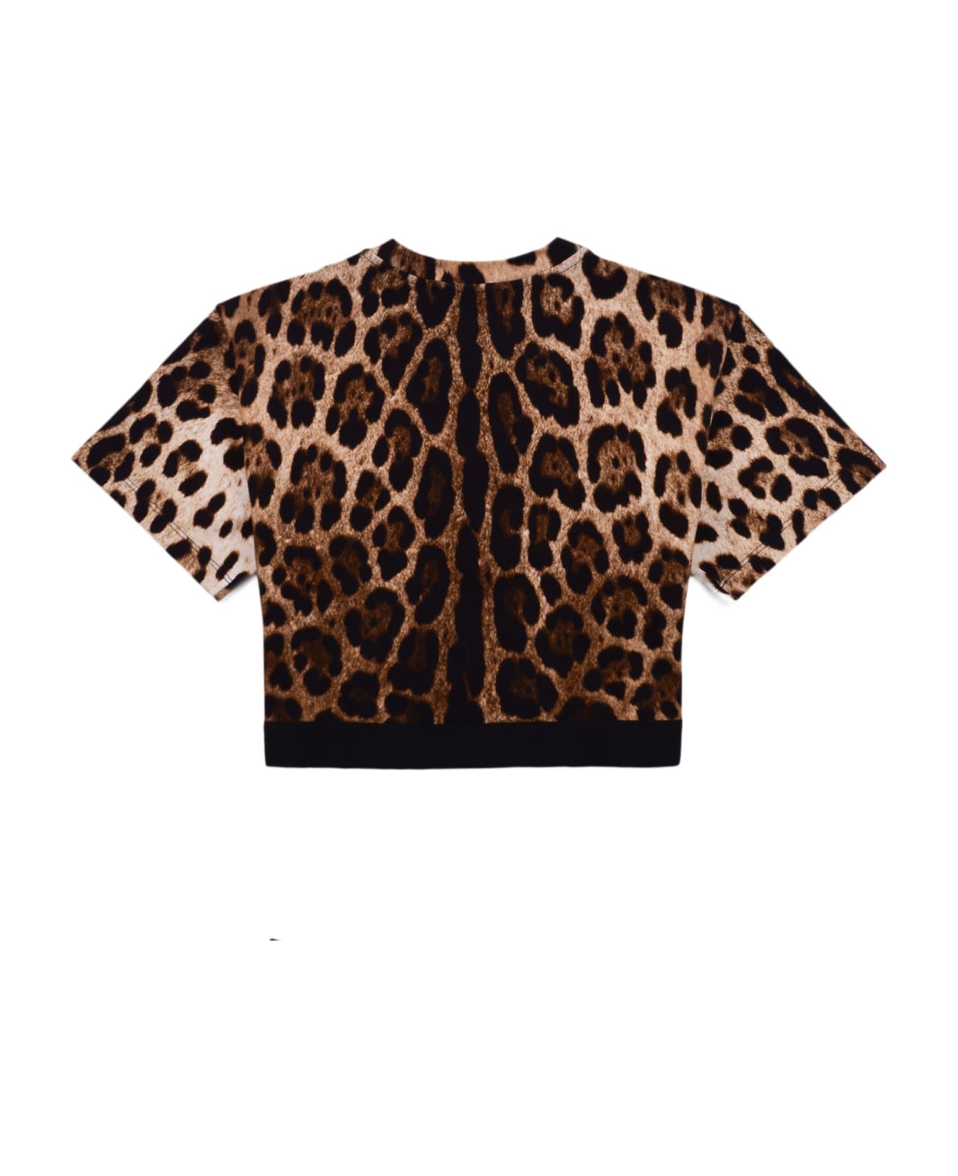 Dolce & Gabbana Cropped T-shirt With Leopard Print - Brown