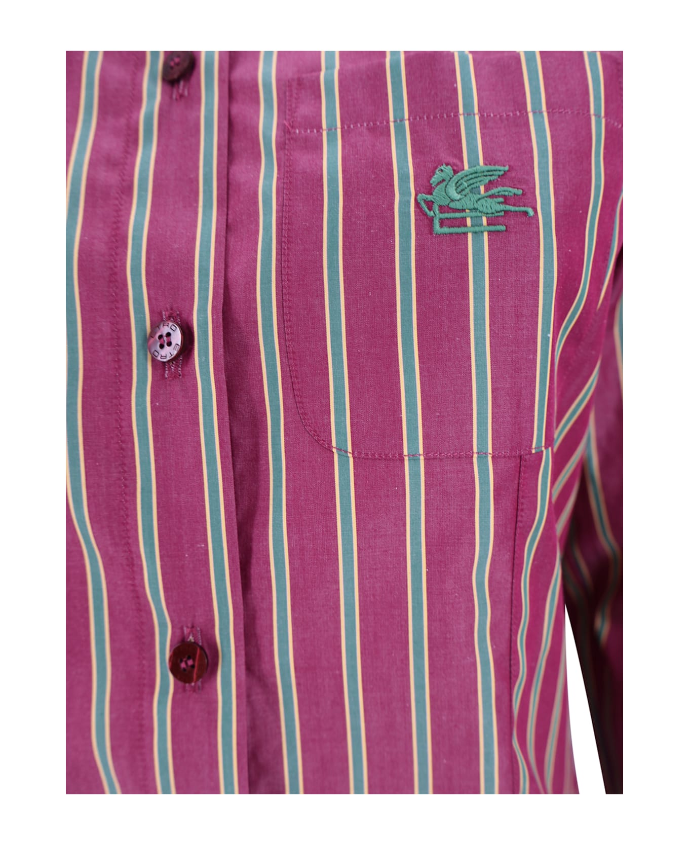 Etro Striped Shirt