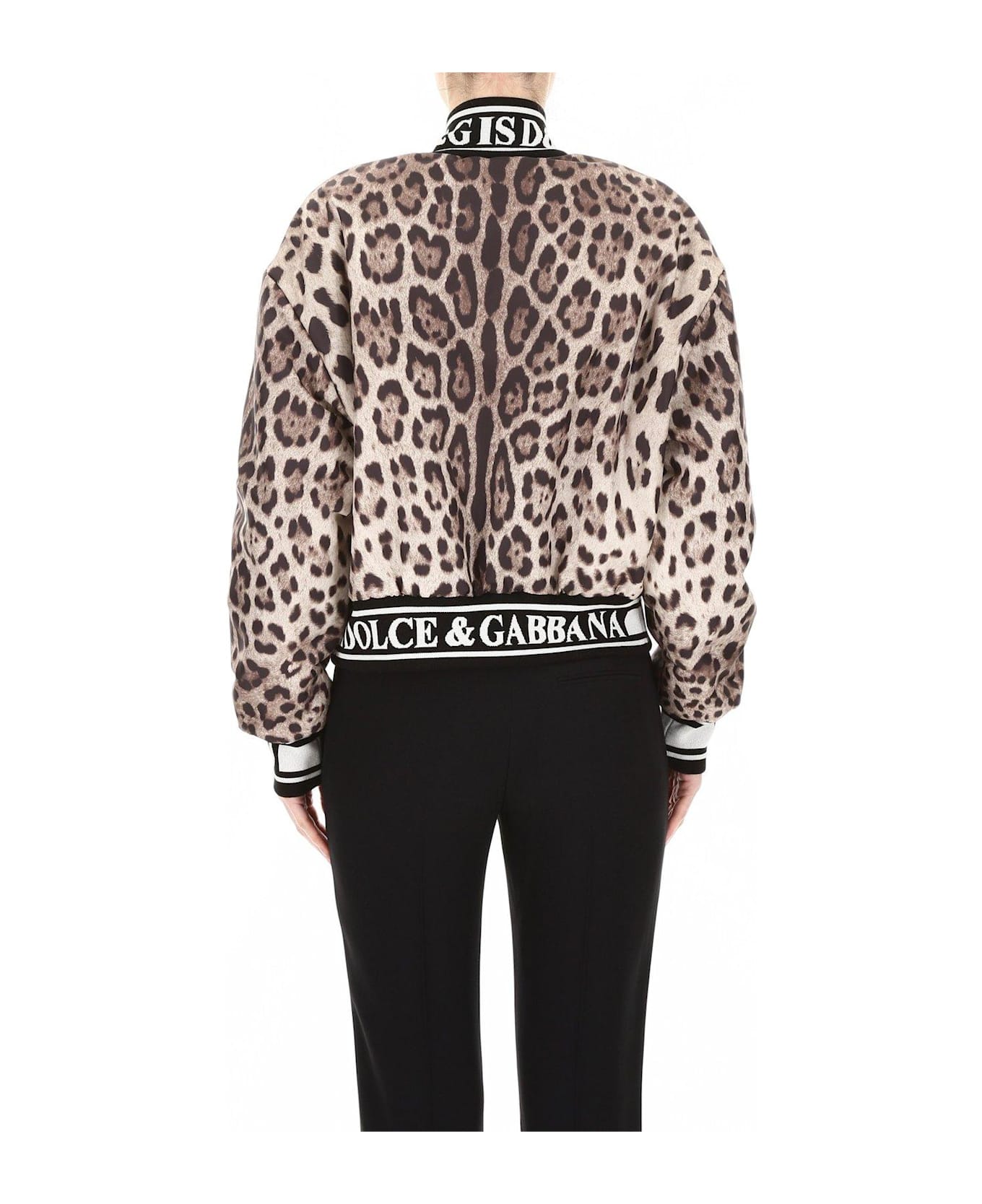 Dolce & Gabbana Leopard Print Bomber Jacket - Brown