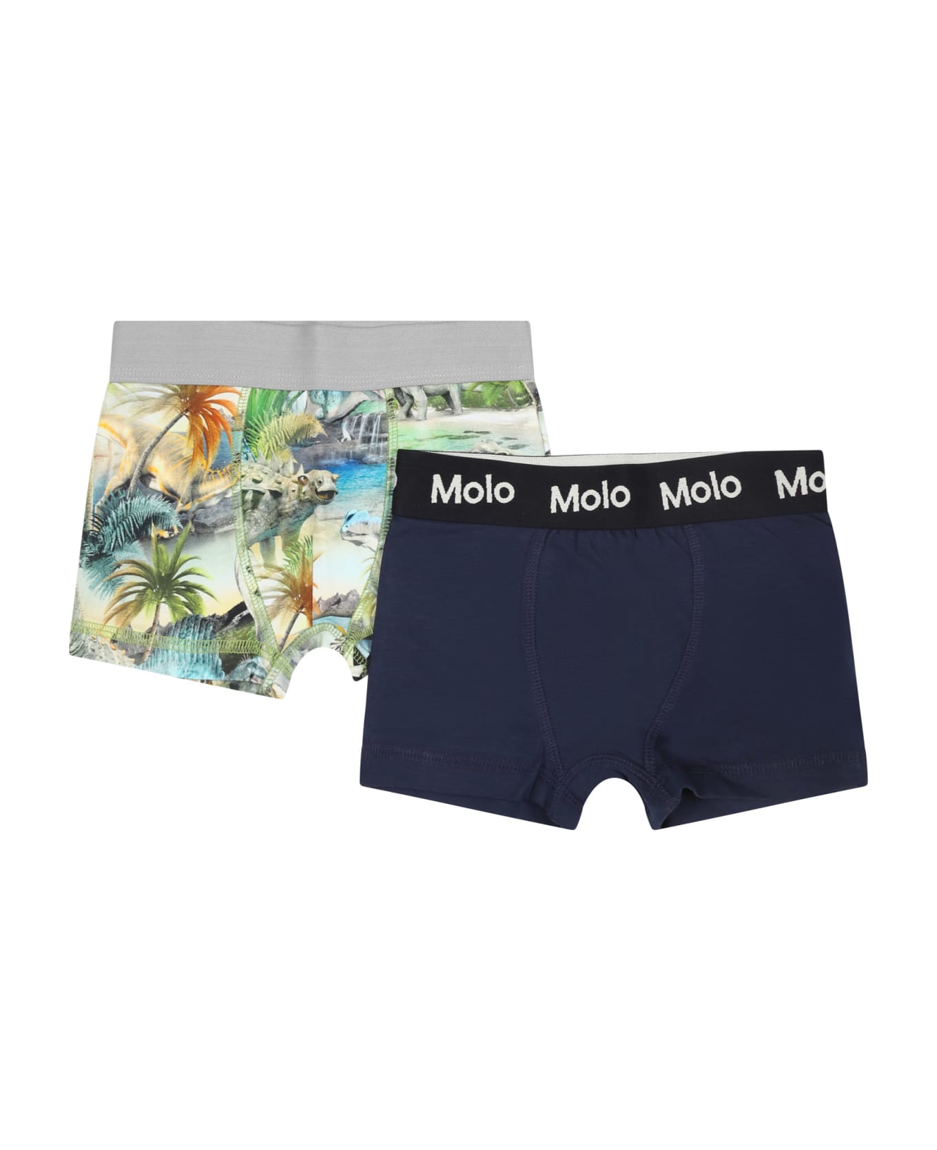 Molo Multicolor Set For Boy With Dinosaur Print - Multicolor アンダーウェア