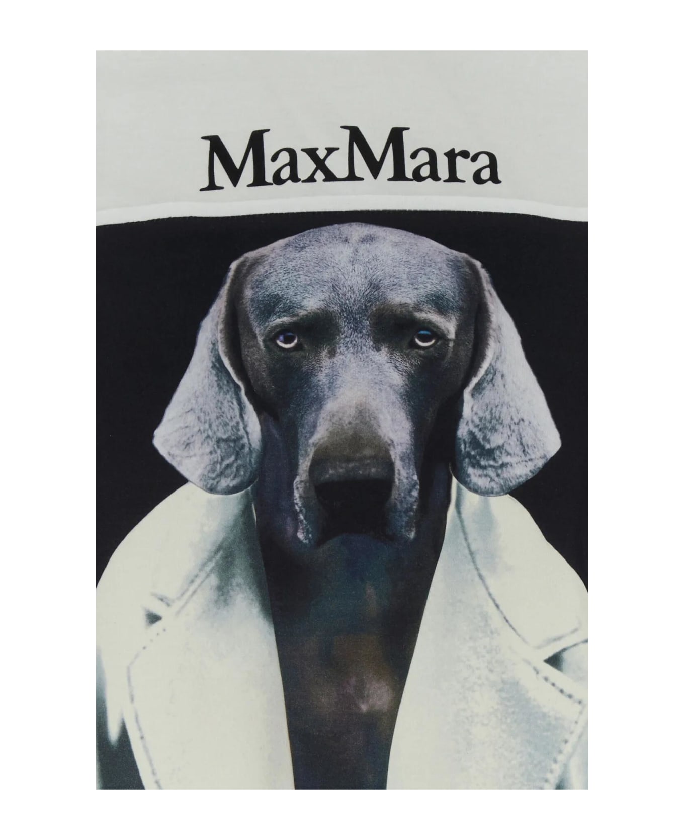 Max Mara White Cotton Cipria T-shirt - VANIGLIA Tシャツ